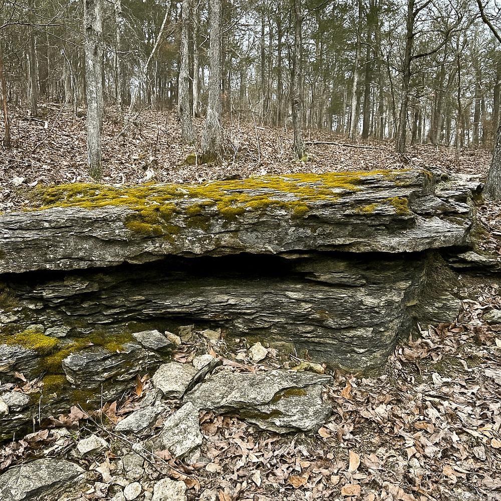 Photo 3 - Vacant Land for sale – 3968  Highway 167   Ash Flat, AR