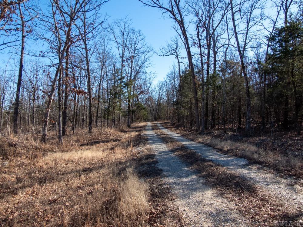 Photo 26 - Vacant Land for sale – 3968  Highway 167   Ash Flat, AR