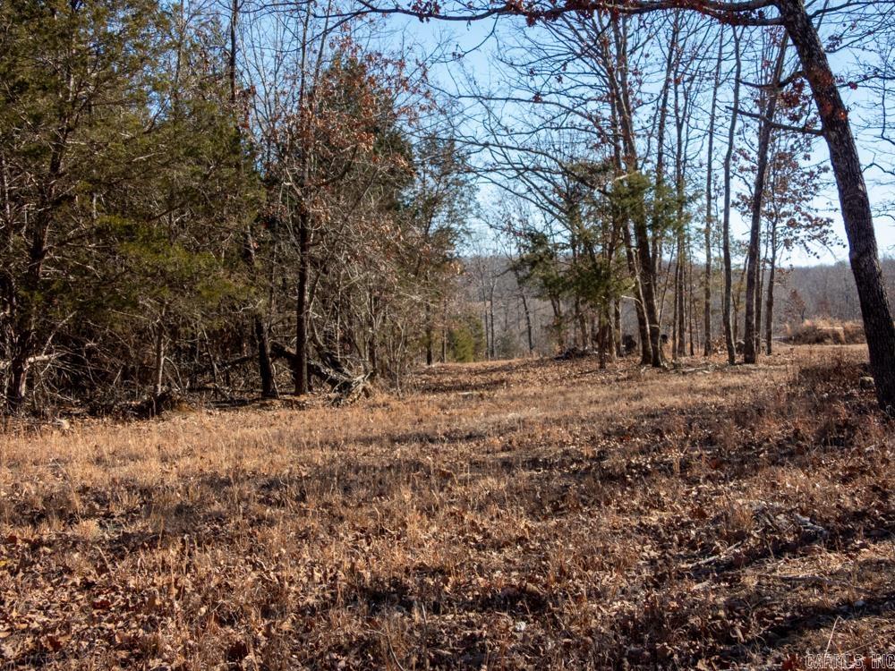 Photo 27 - Vacant Land for sale – 3968  Highway 167   Ash Flat, AR