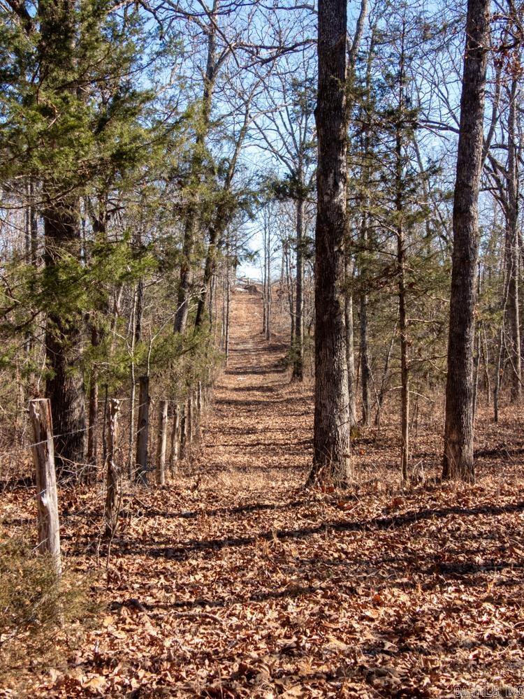 Photo 30 - Vacant Land for sale – 3968  Highway 167   Ash Flat, AR