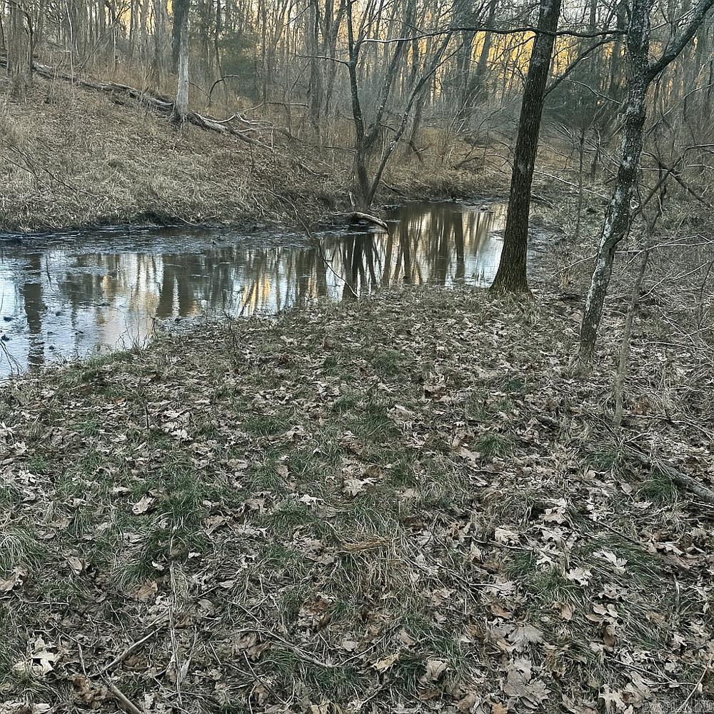 Photo 4 - Vacant Land for sale – 3968  Highway 167   Ash Flat, AR