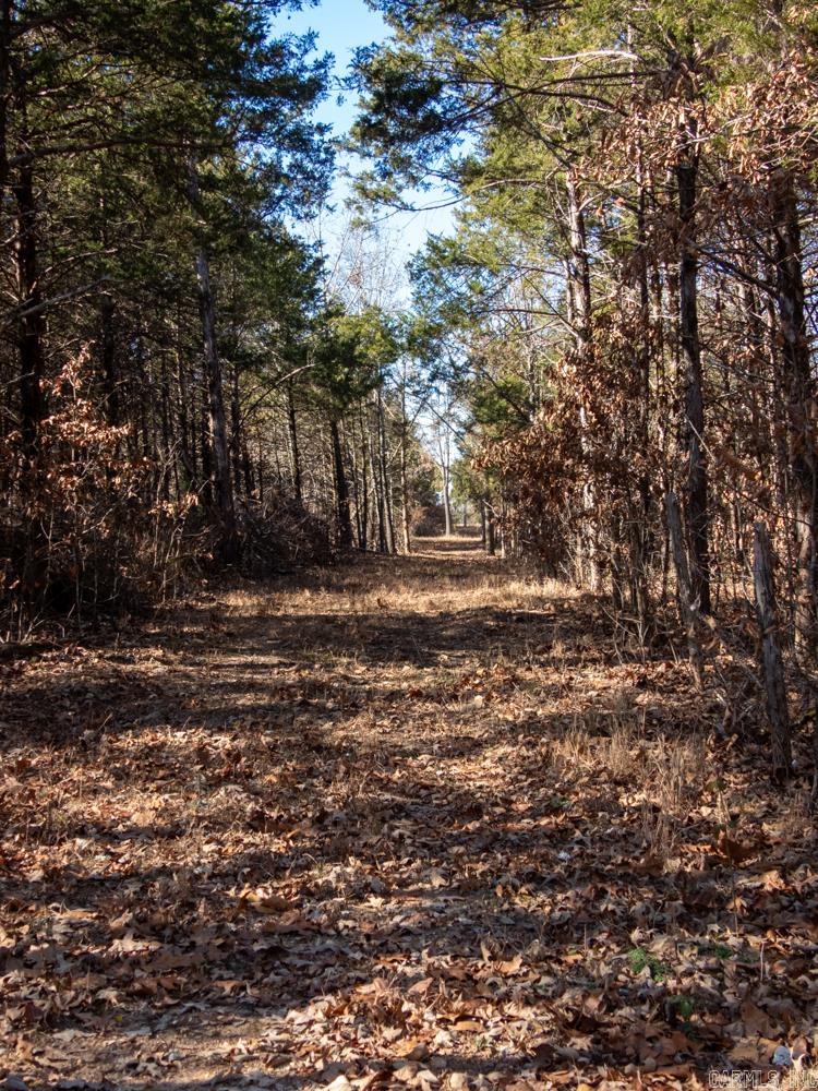 Photo 31 - Vacant Land for sale – 3968  Highway 167   Ash Flat, AR