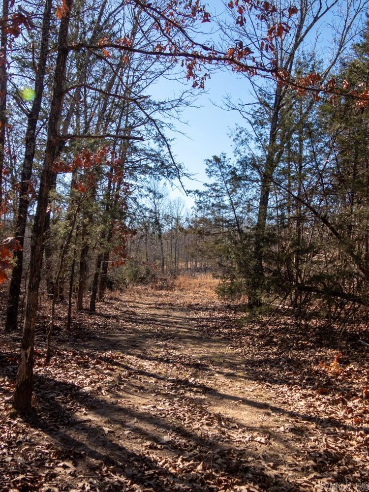 Photo 32 - Vacant Land for sale – 3968  Highway 167   Ash Flat, AR