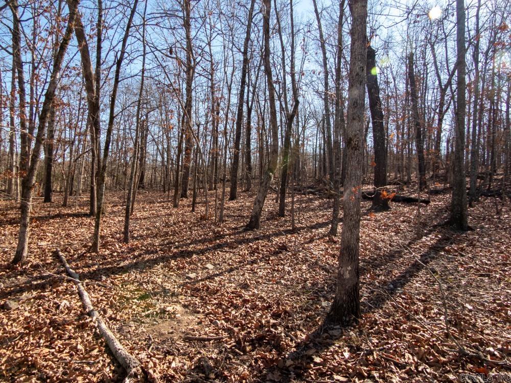 Photo 35 - Vacant Land for sale – 3968  Highway 167   Ash Flat, AR