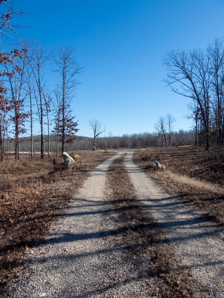 Photo 37 - Vacant Land for sale – 3968  Highway 167   Ash Flat, AR