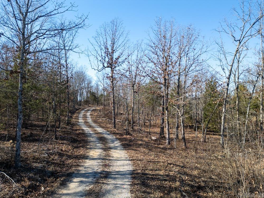 Photo 5 - Vacant Land for sale – 3968  Highway 167   Ash Flat, AR