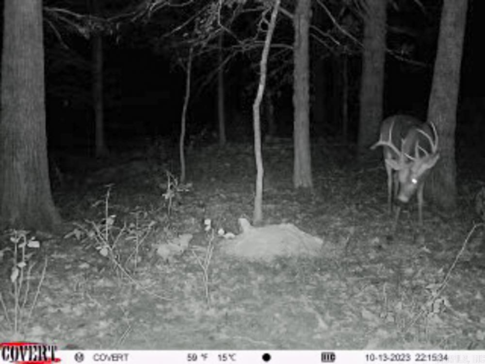 Photo 42 - Vacant Land for sale – 3968  Highway 167   Ash Flat, AR