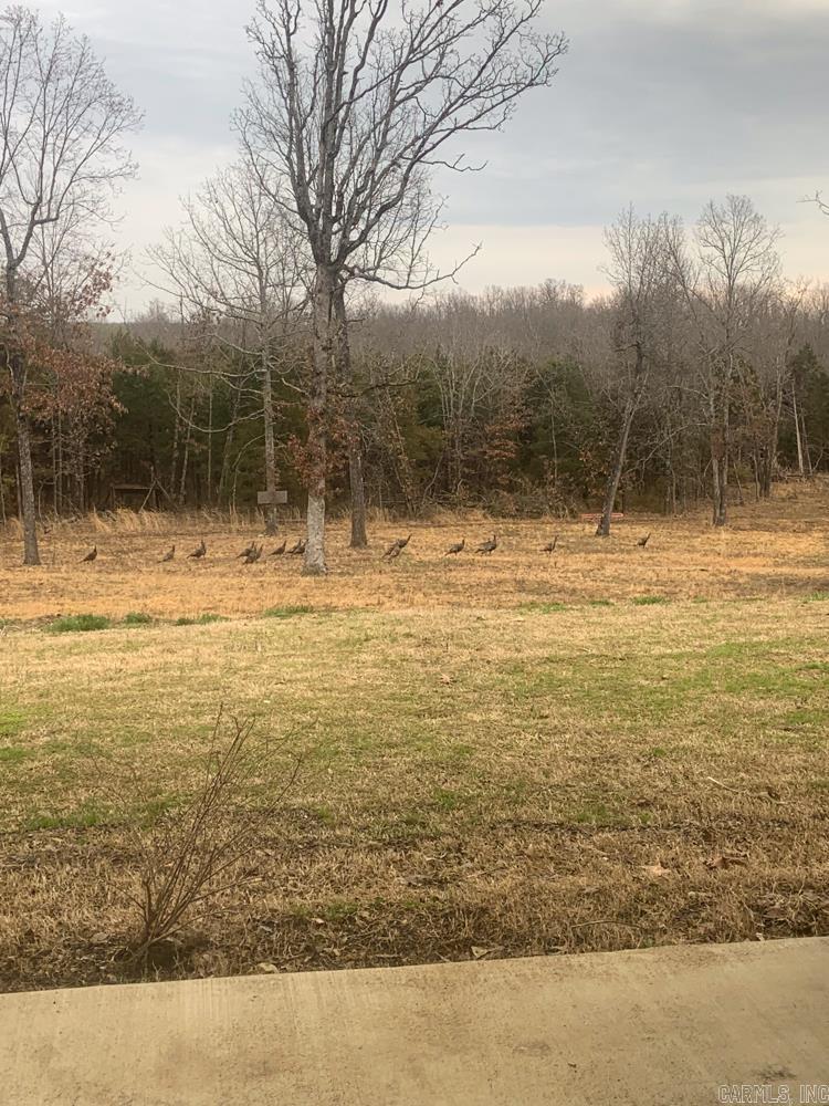 Photo 45 - Vacant Land for sale – 3968  Highway 167   Ash Flat, AR