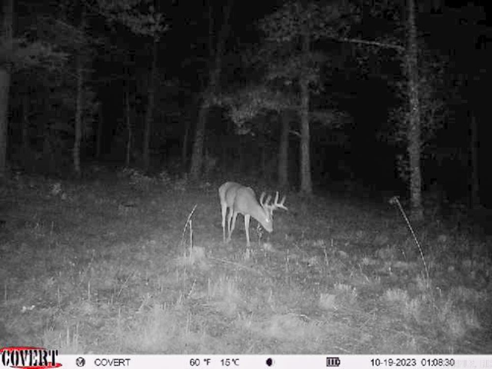 Photo 47 - Vacant Land for sale – 3968  Highway 167   Ash Flat, AR