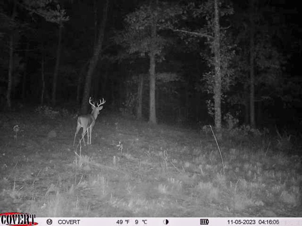 Photo 48 - Vacant Land for sale – 3968  Highway 167   Ash Flat, AR