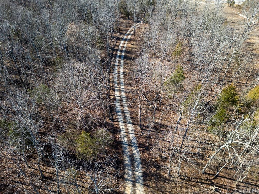 Photo 6 - Vacant Land for sale – 3968  Highway 167   Ash Flat, AR