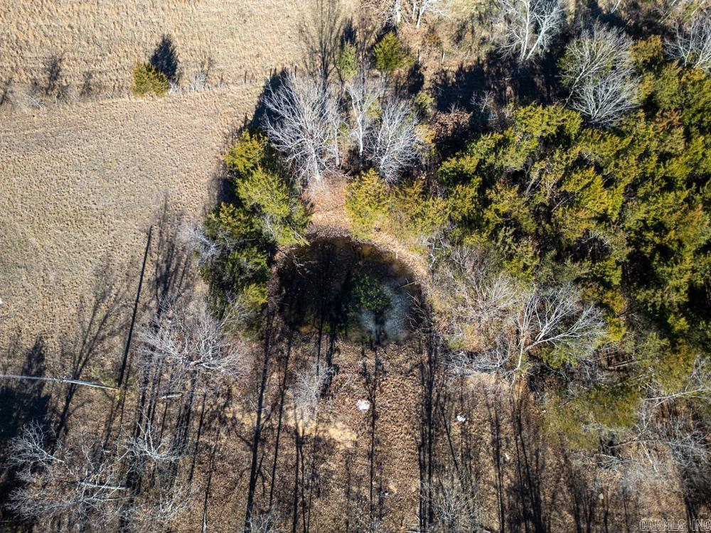 Photo 7 - Vacant Land for sale – 3968  Highway 167   Ash Flat, AR