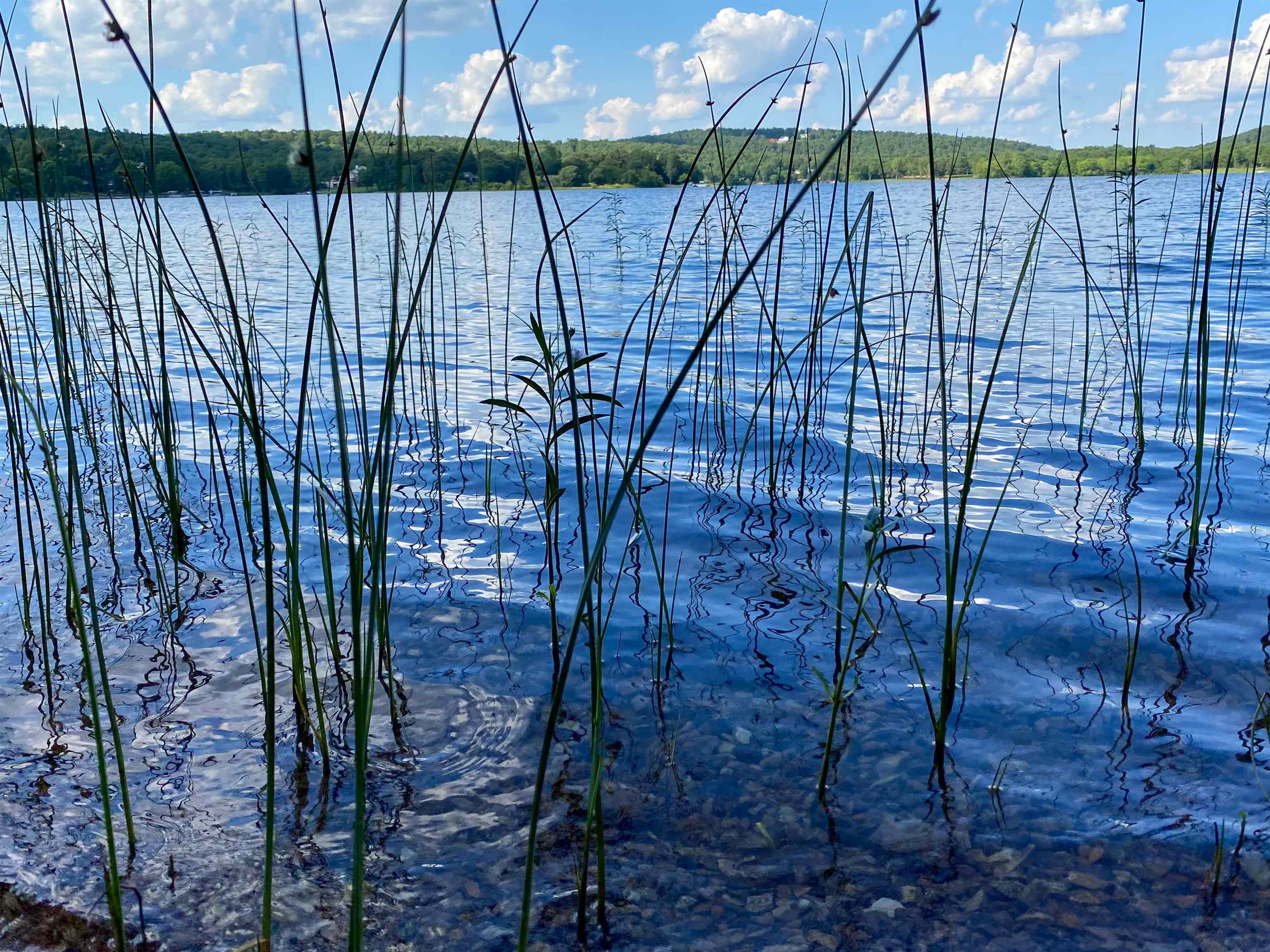 Photo 3 - Vacant Land for sale – 1106  South Shore   Horseshoe Bend, AR