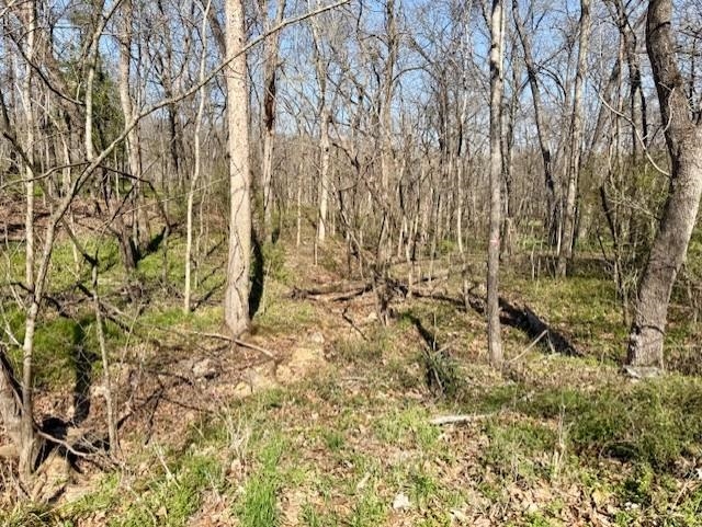 Photo 2 - Vacant Land for sale – 000  Powhatan   Cherokee Village, AR
