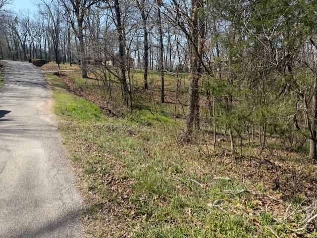 Photo 3 - Vacant Land for sale – 000  Powhatan   Cherokee Village, AR