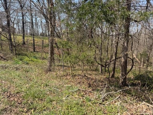 Photo 4 - Vacant Land for sale – 000  Powhatan   Cherokee Village, AR