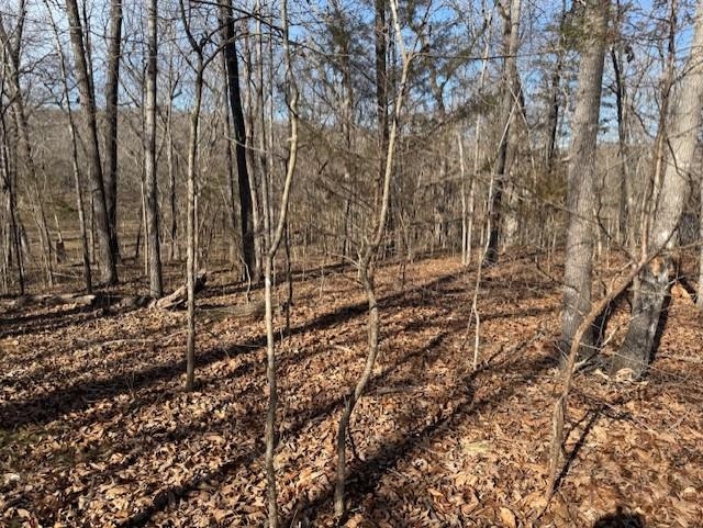 Photo 4 - Vacant Land for sale – 000  Powhatan   Cherokee Village, AR