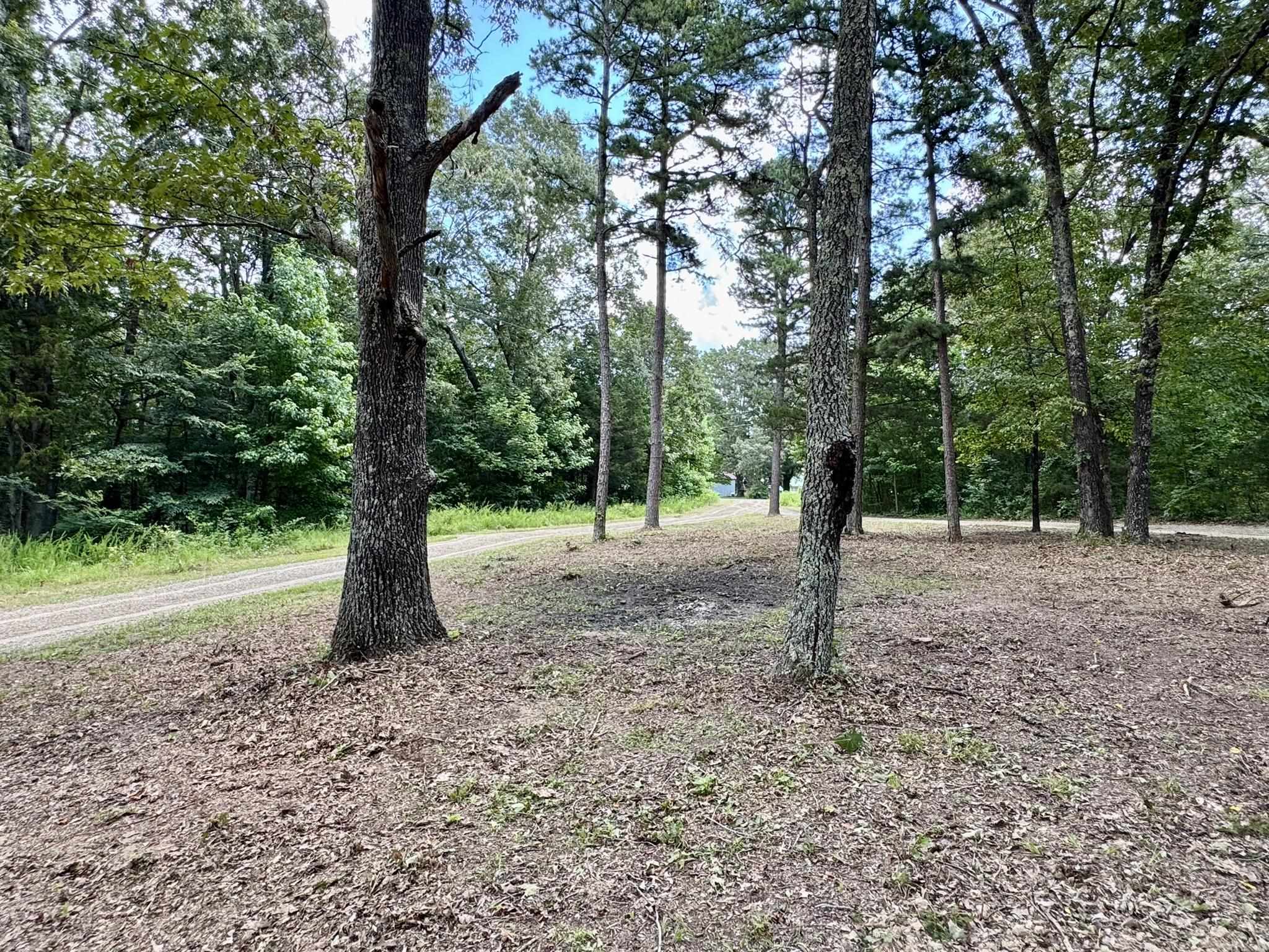 Photo 21 - Residential for sale – 2980  Bonetown Road   Melbourne, AR