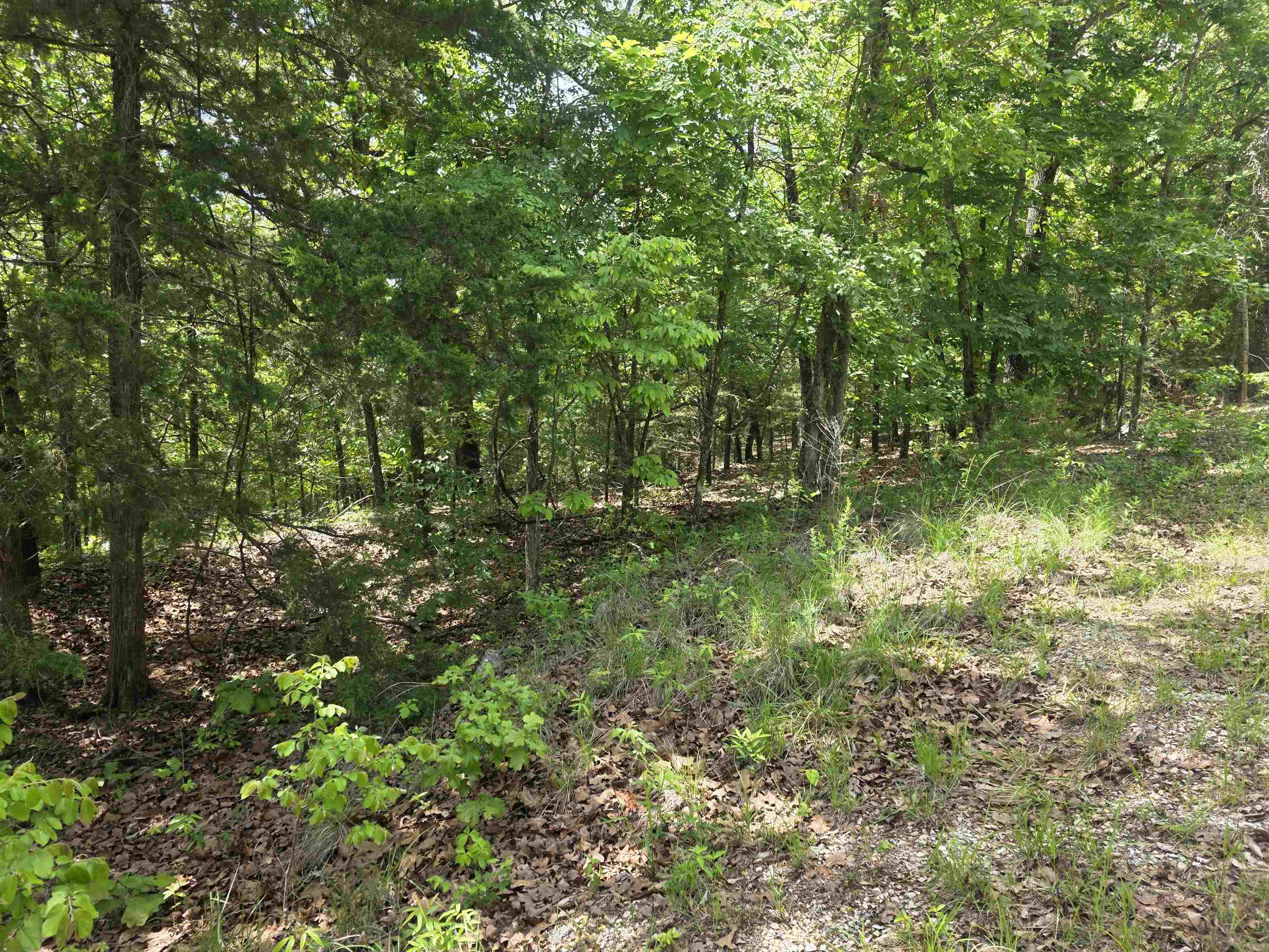 Vacant Land for sale – L-39, B-4  Topez   Cherokee Village, AR