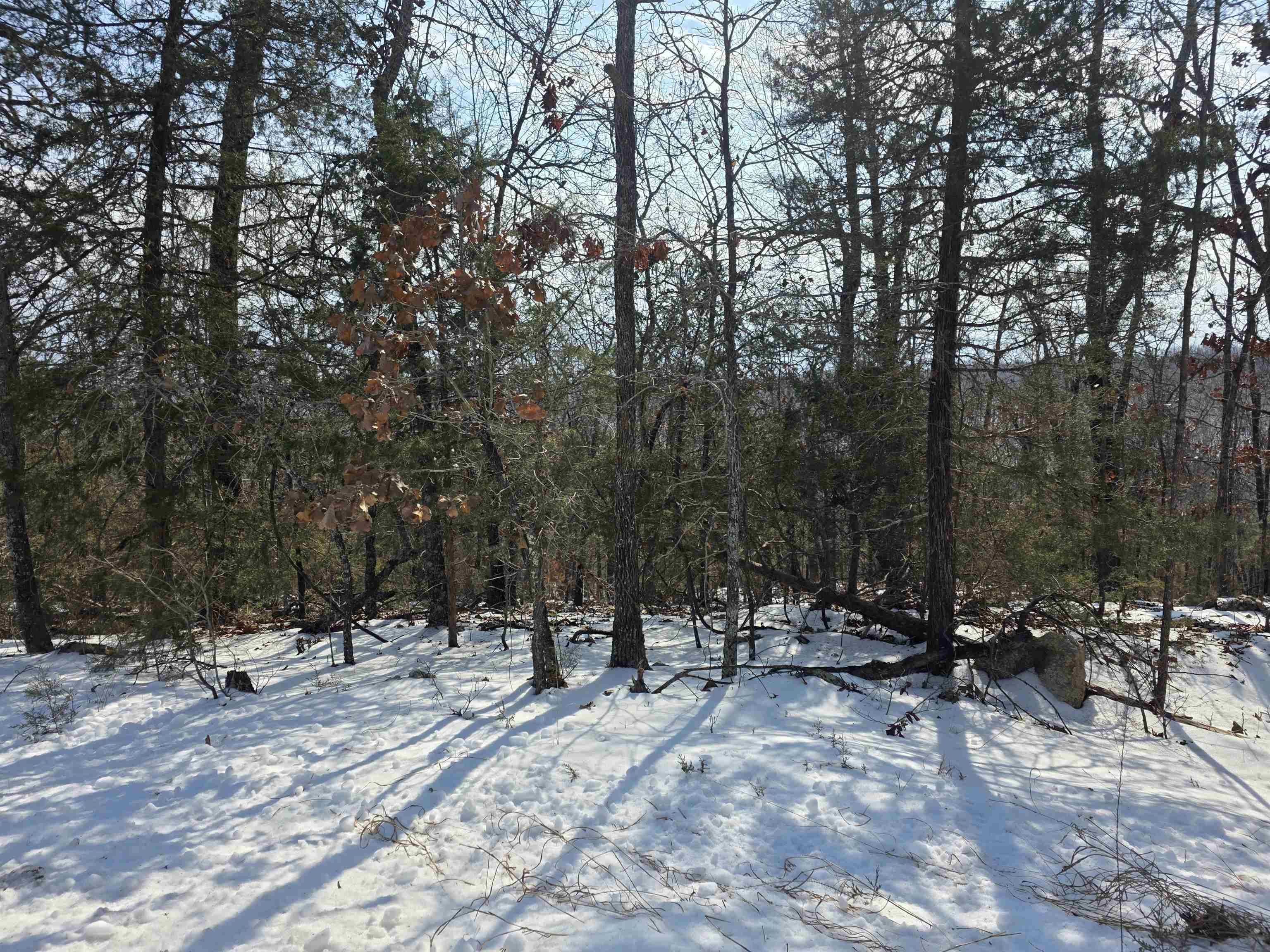 Vacant Land for sale – L-39, B-4  Topez   Cherokee Village, AR