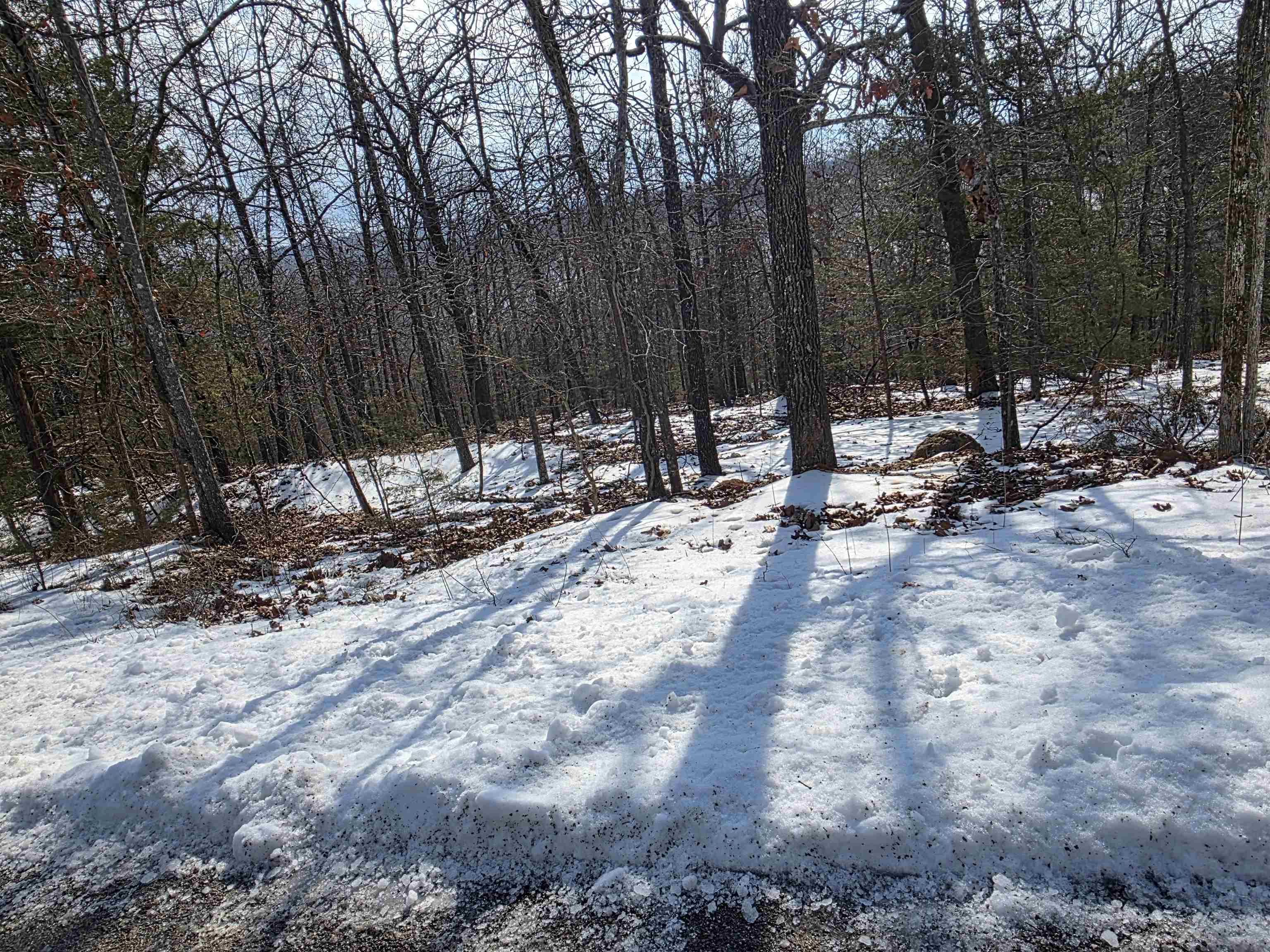 Photo 2 - Vacant Land for sale – L-39, B-4  Topez   Cherokee Village, AR