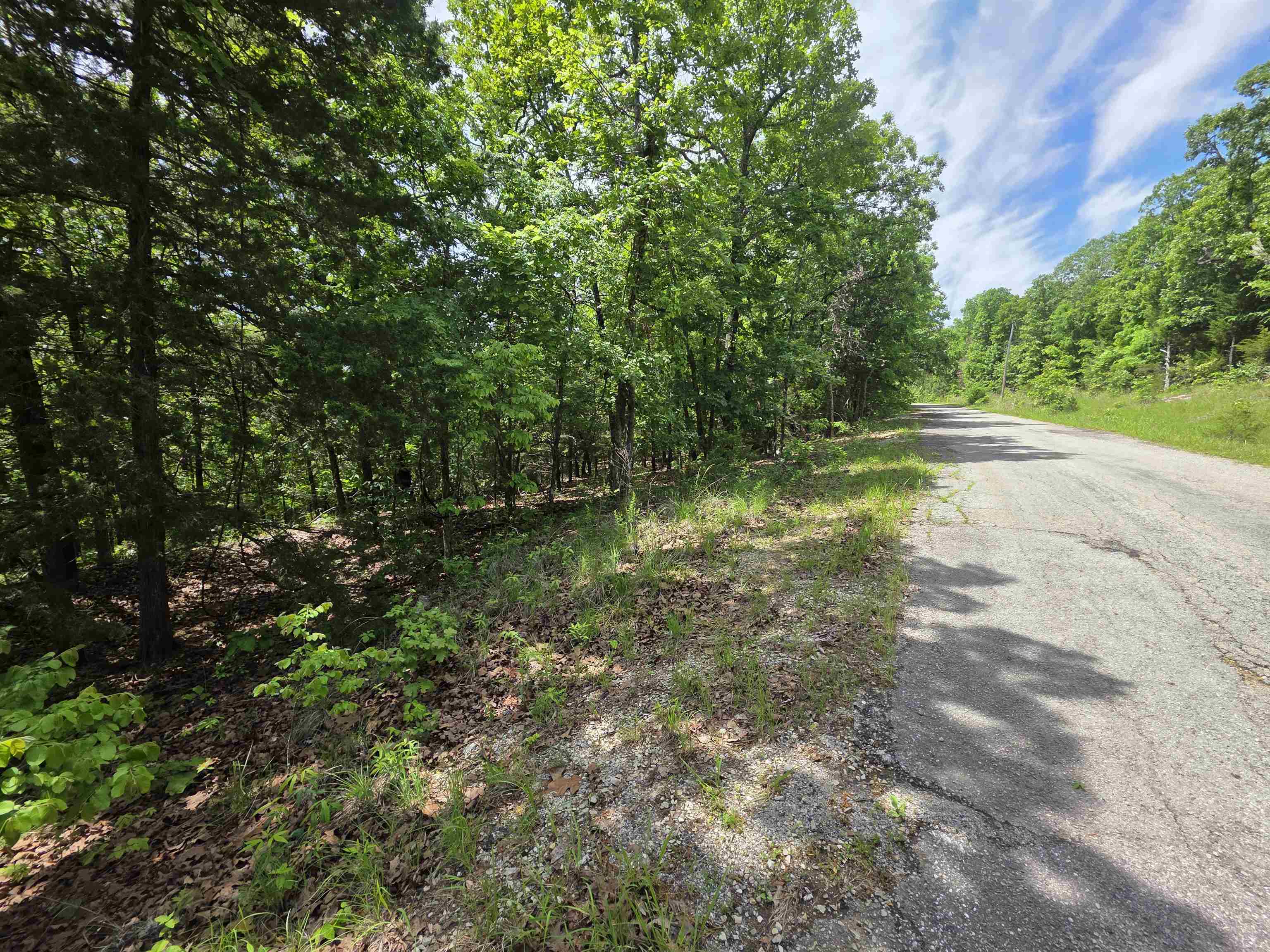 Photo 2 - Vacant Land for sale – L-39, B-4  Topez   Cherokee Village, AR