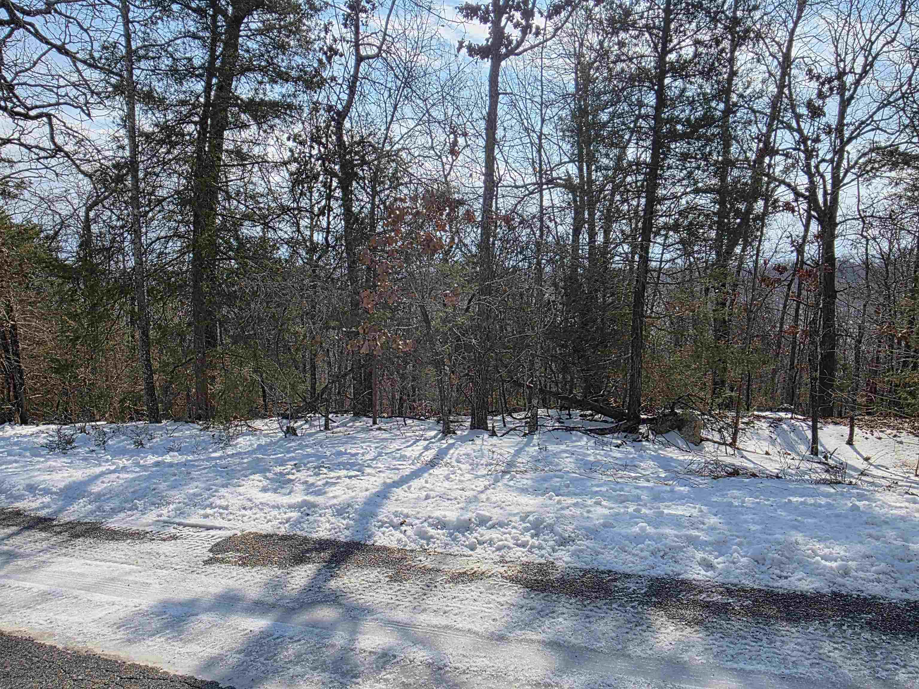 Photo 11 - Vacant Land for sale – L-39, B-4  Topez   Cherokee Village, AR