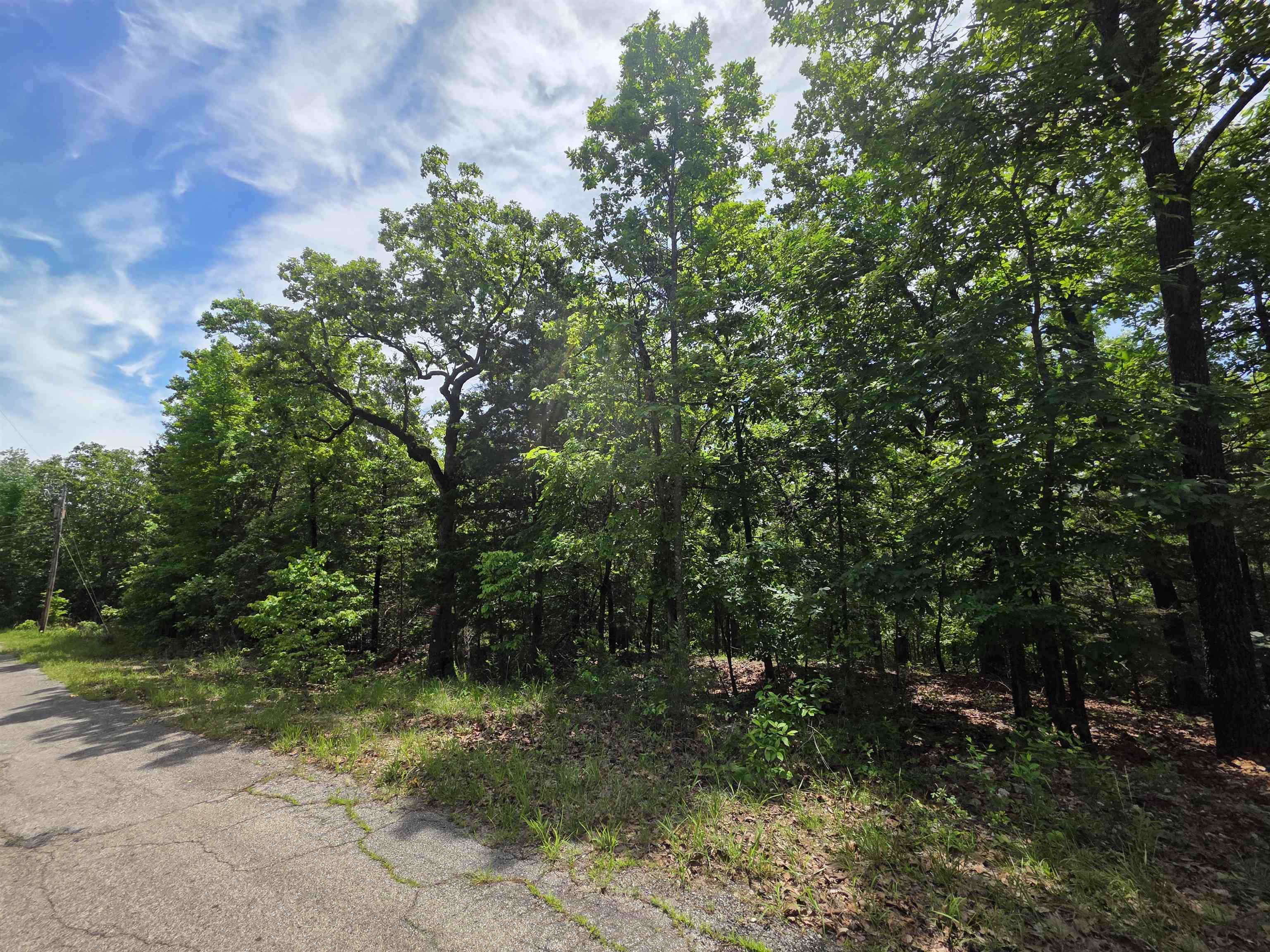 Photo 11 - Vacant Land for sale – L-39, B-4  Topez   Cherokee Village, AR