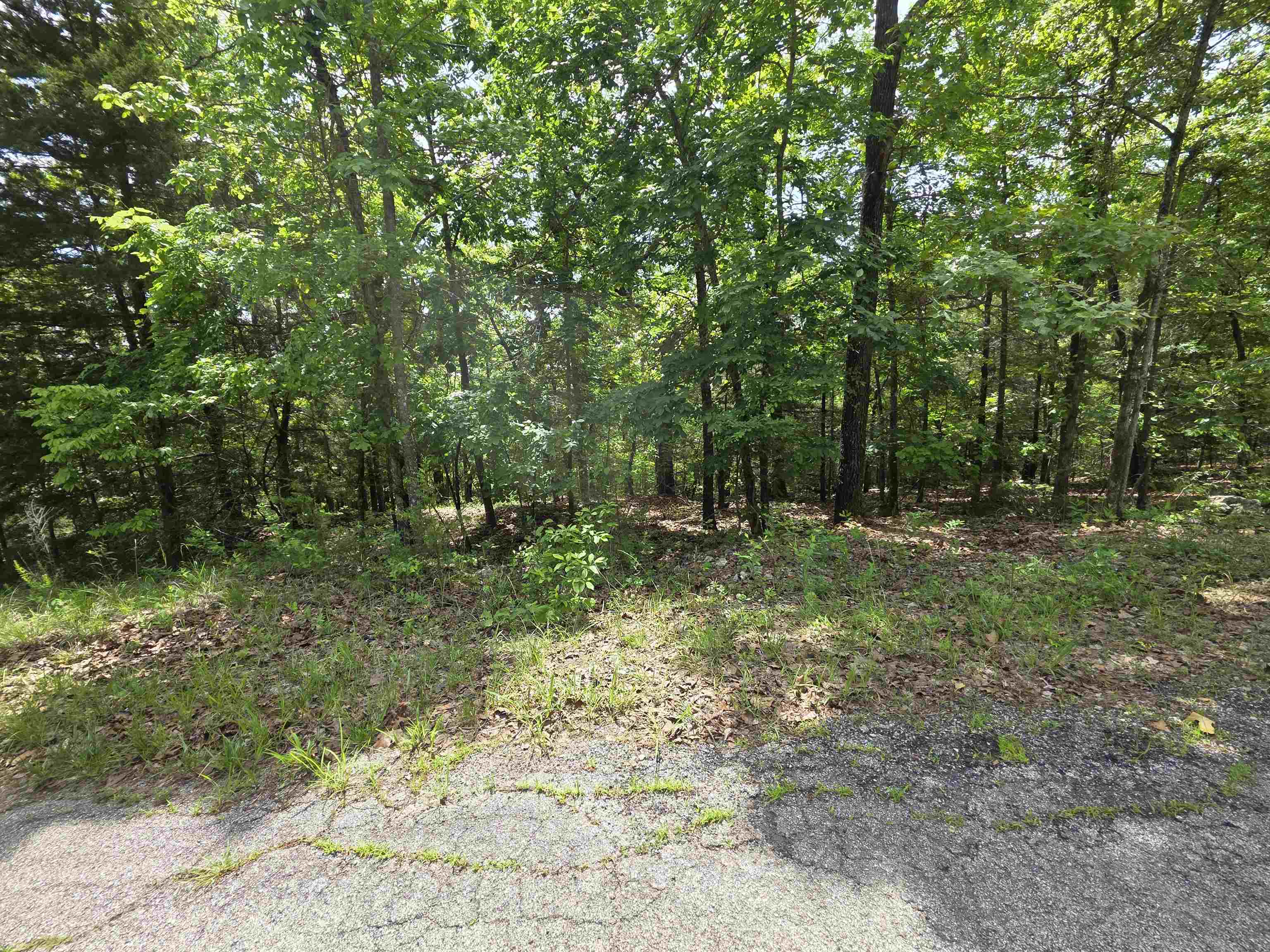 Photo 12 - Vacant Land for sale – L-39, B-4  Topez   Cherokee Village, AR