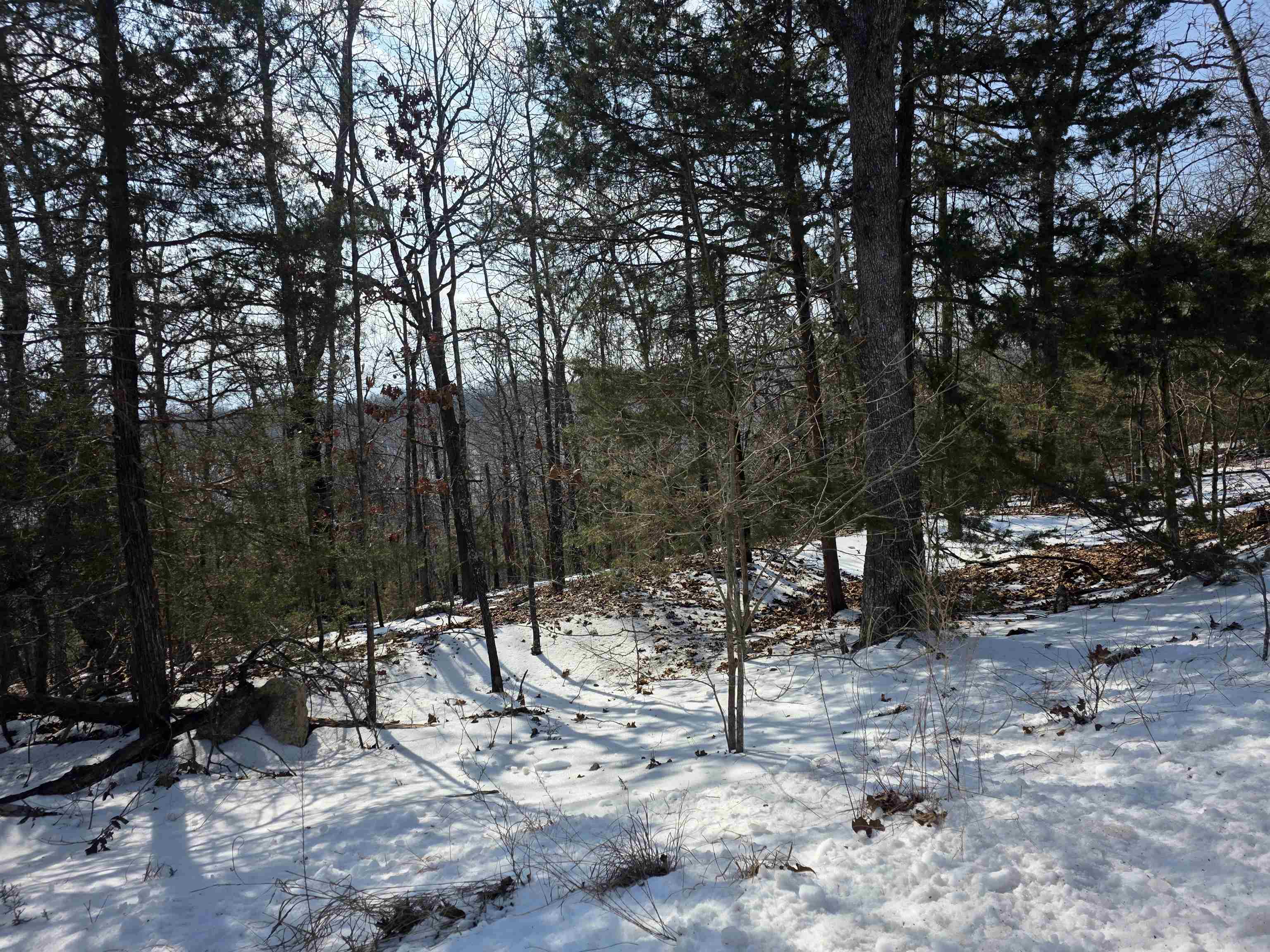 Photo 12 - Vacant Land for sale – L-39, B-4  Topez   Cherokee Village, AR