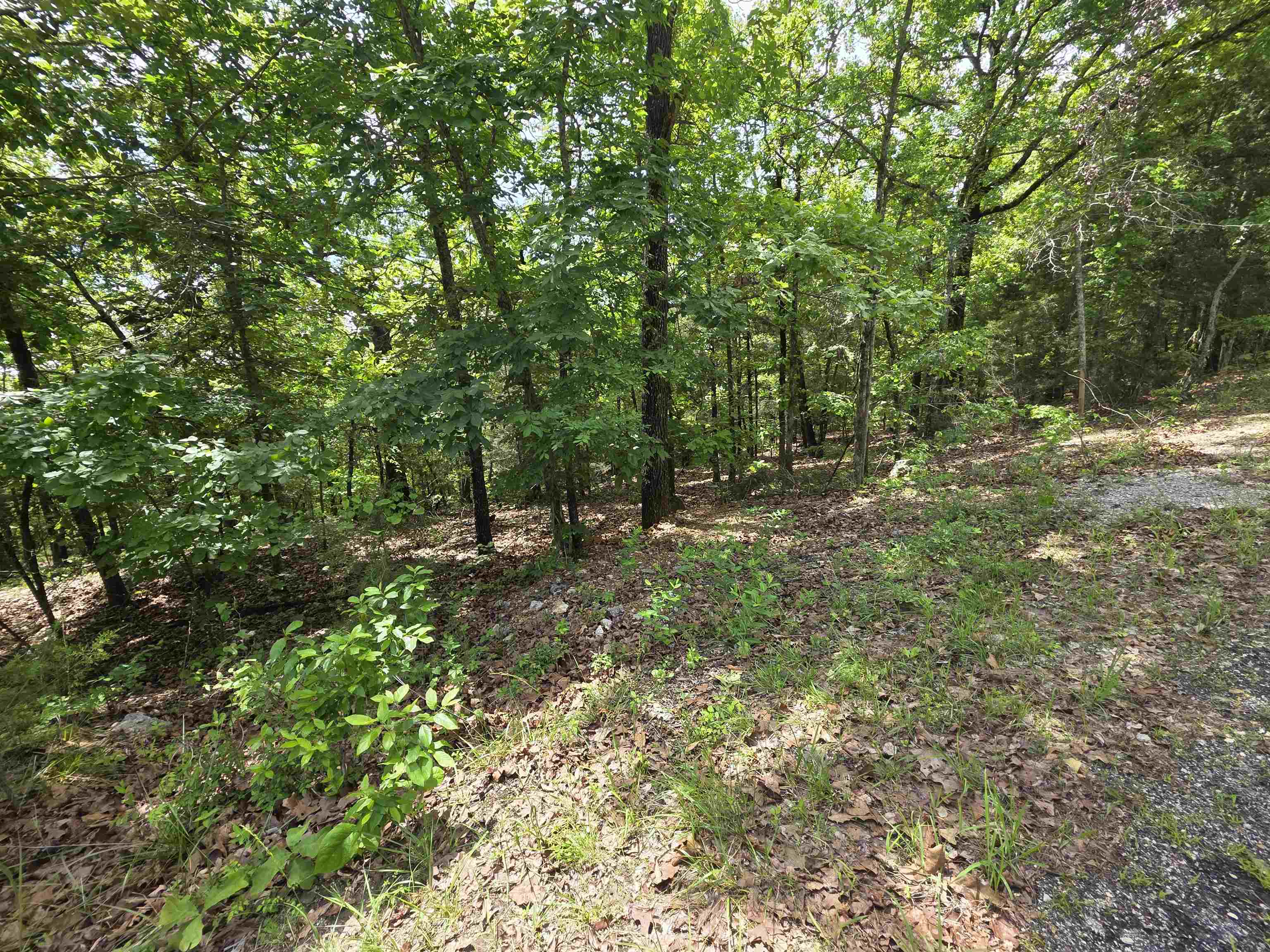 Photo 13 - Vacant Land for sale – L-39, B-4  Topez   Cherokee Village, AR