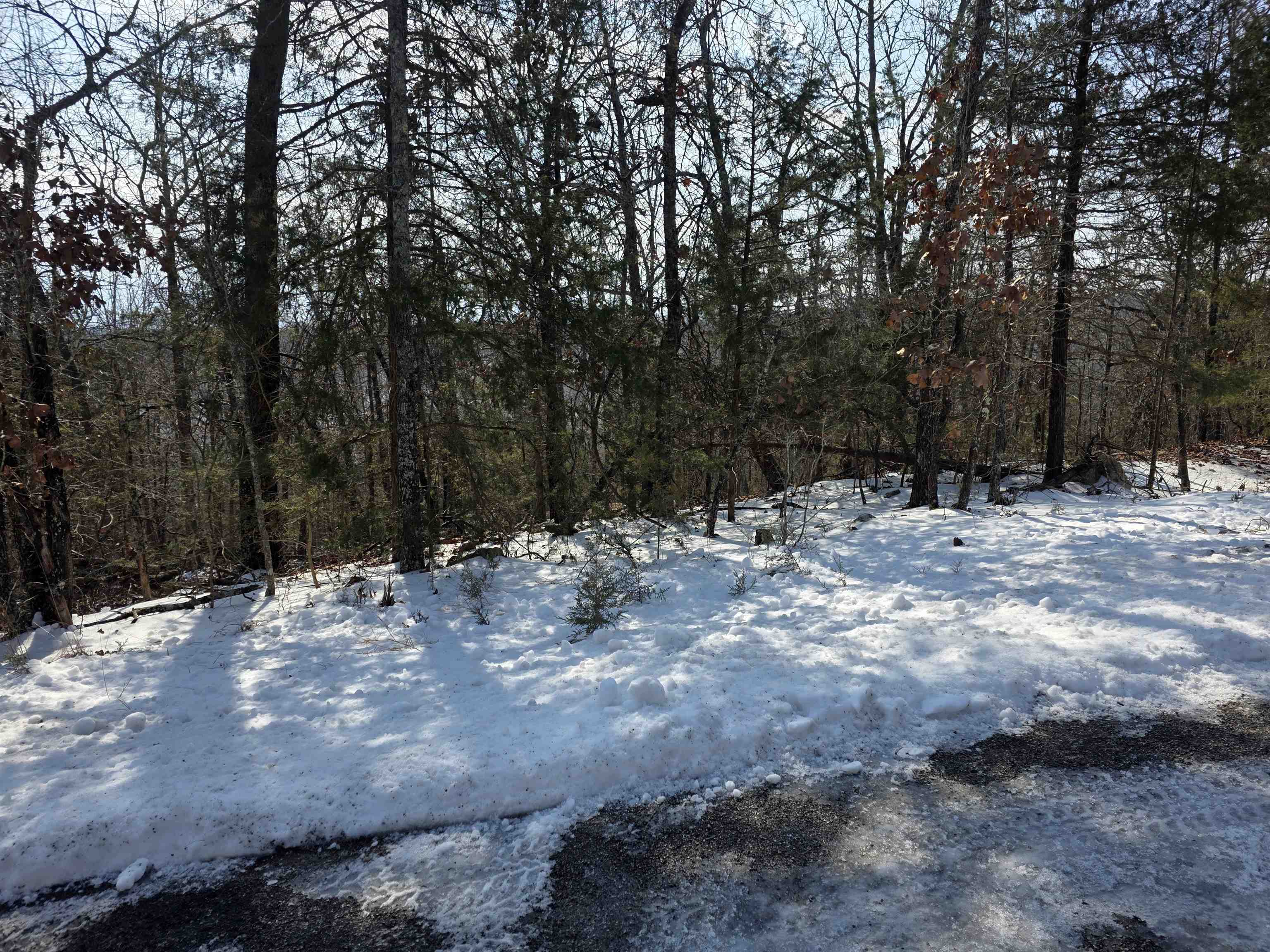 Photo 13 - Vacant Land for sale – L-39, B-4  Topez   Cherokee Village, AR