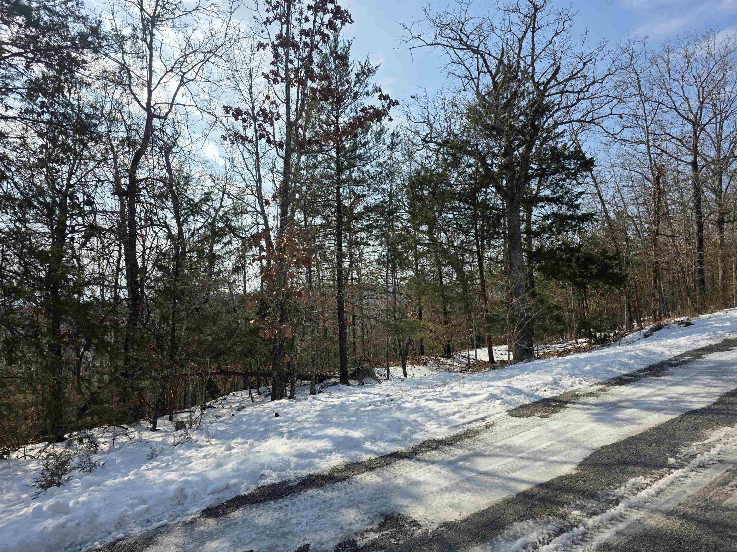 Photo 14 - Vacant Land for sale – L-39, B-4  Topez   Cherokee Village, AR