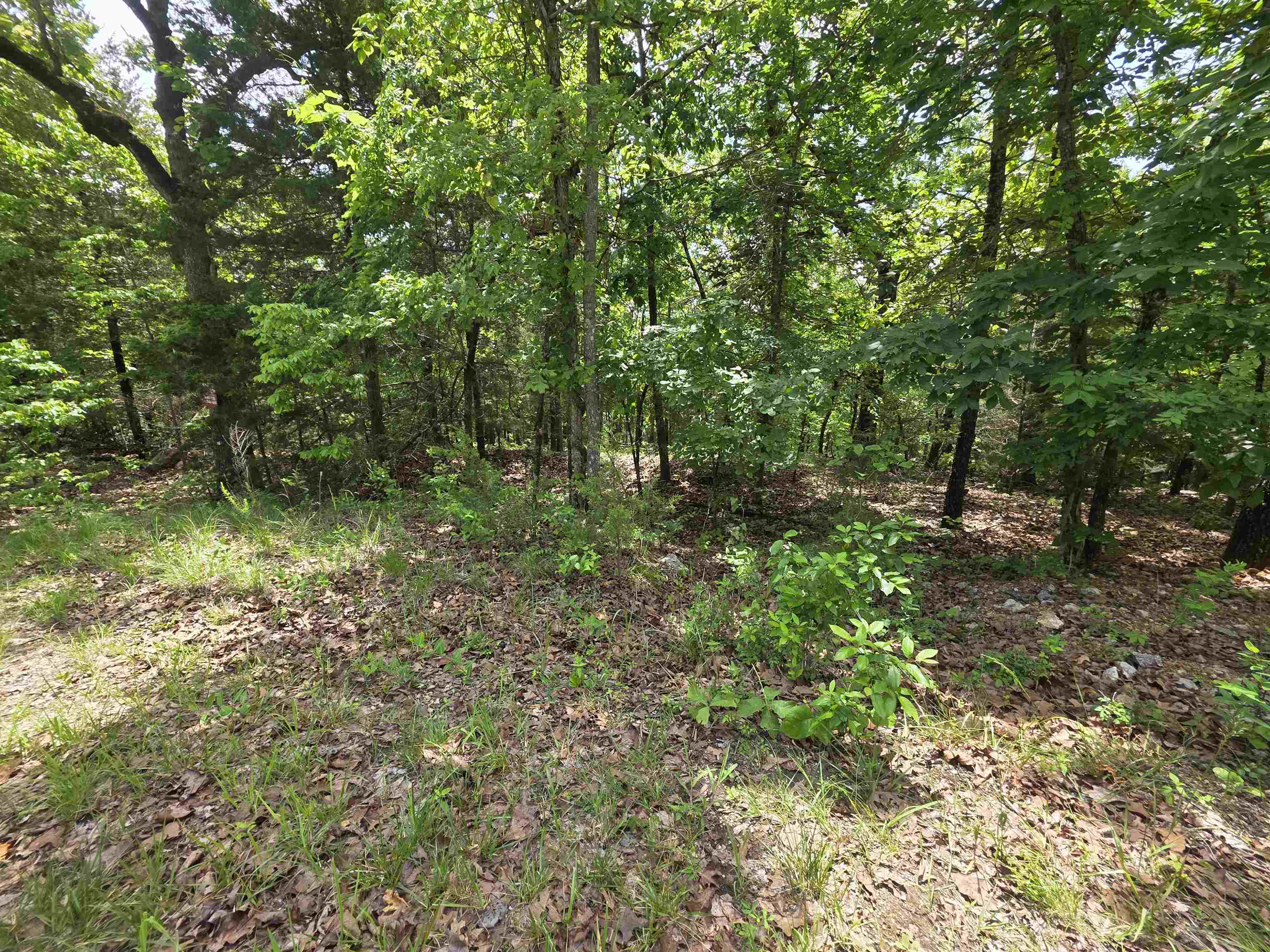 Photo 14 - Vacant Land for sale – L-39, B-4  Topez   Cherokee Village, AR