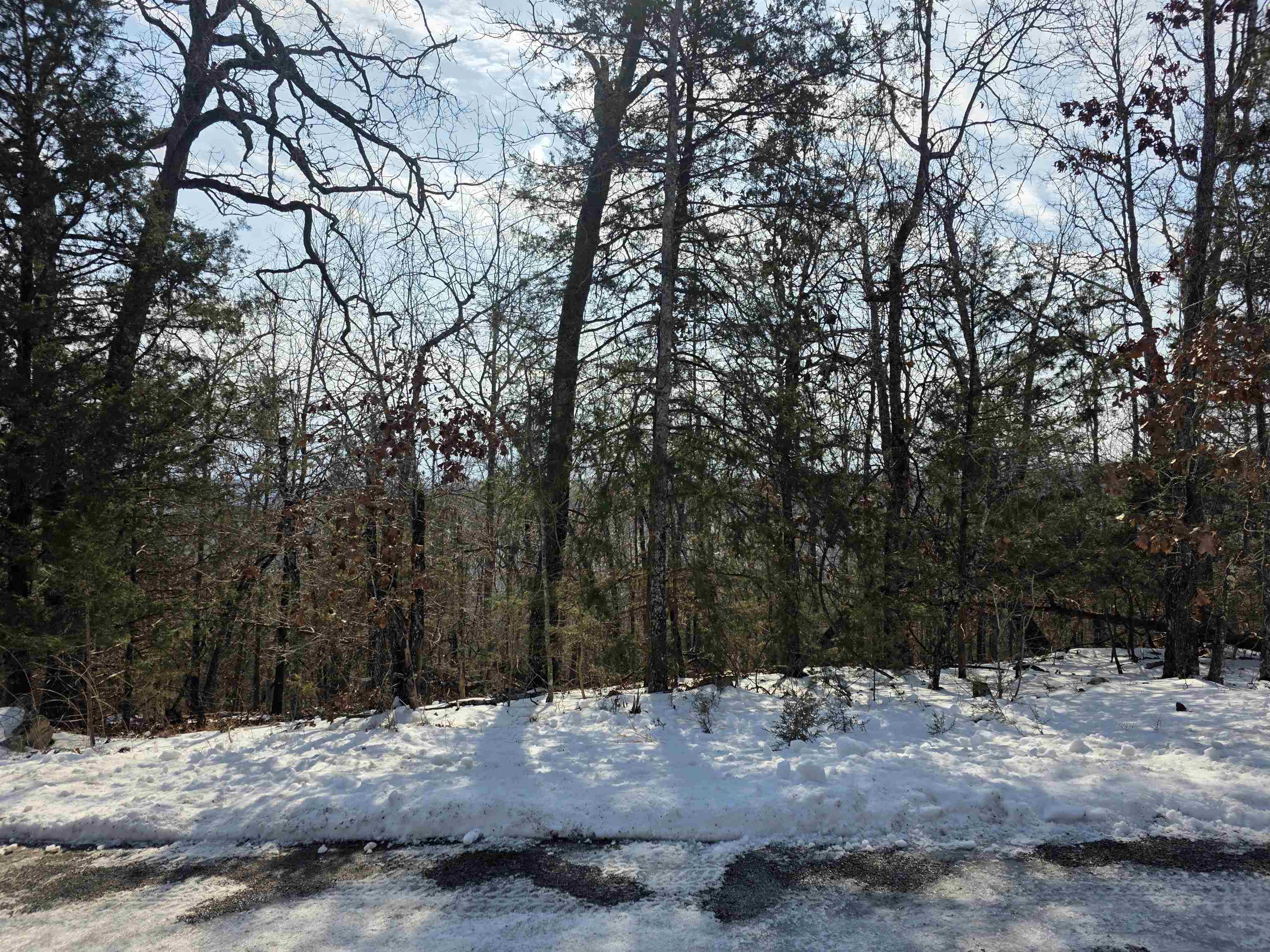 Photo 15 - Vacant Land for sale – L-39, B-4  Topez   Cherokee Village, AR