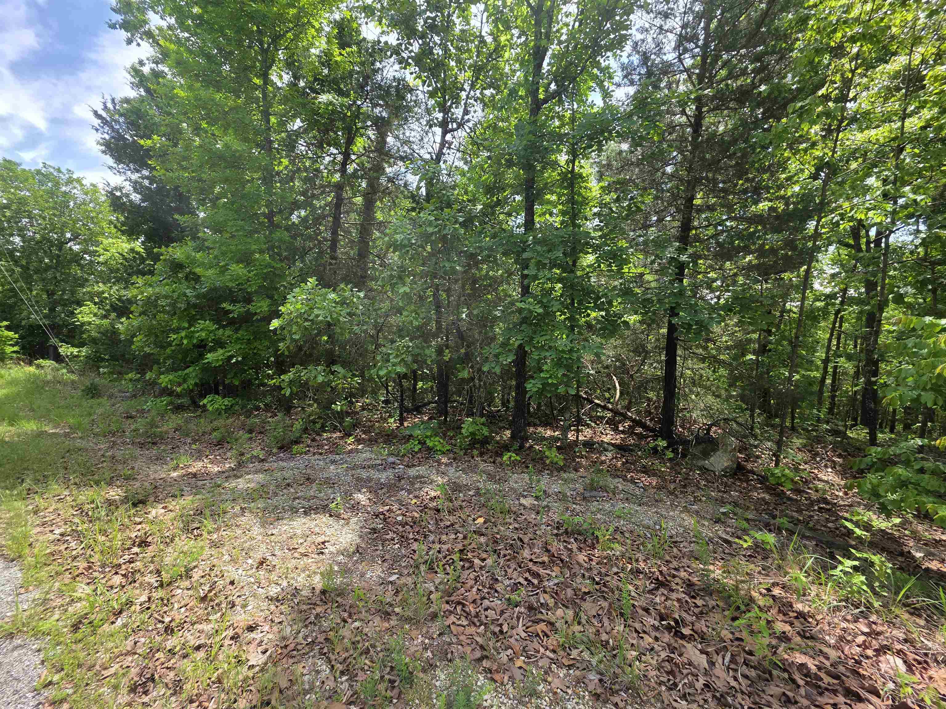 Photo 15 - Vacant Land for sale – L-39, B-4  Topez   Cherokee Village, AR