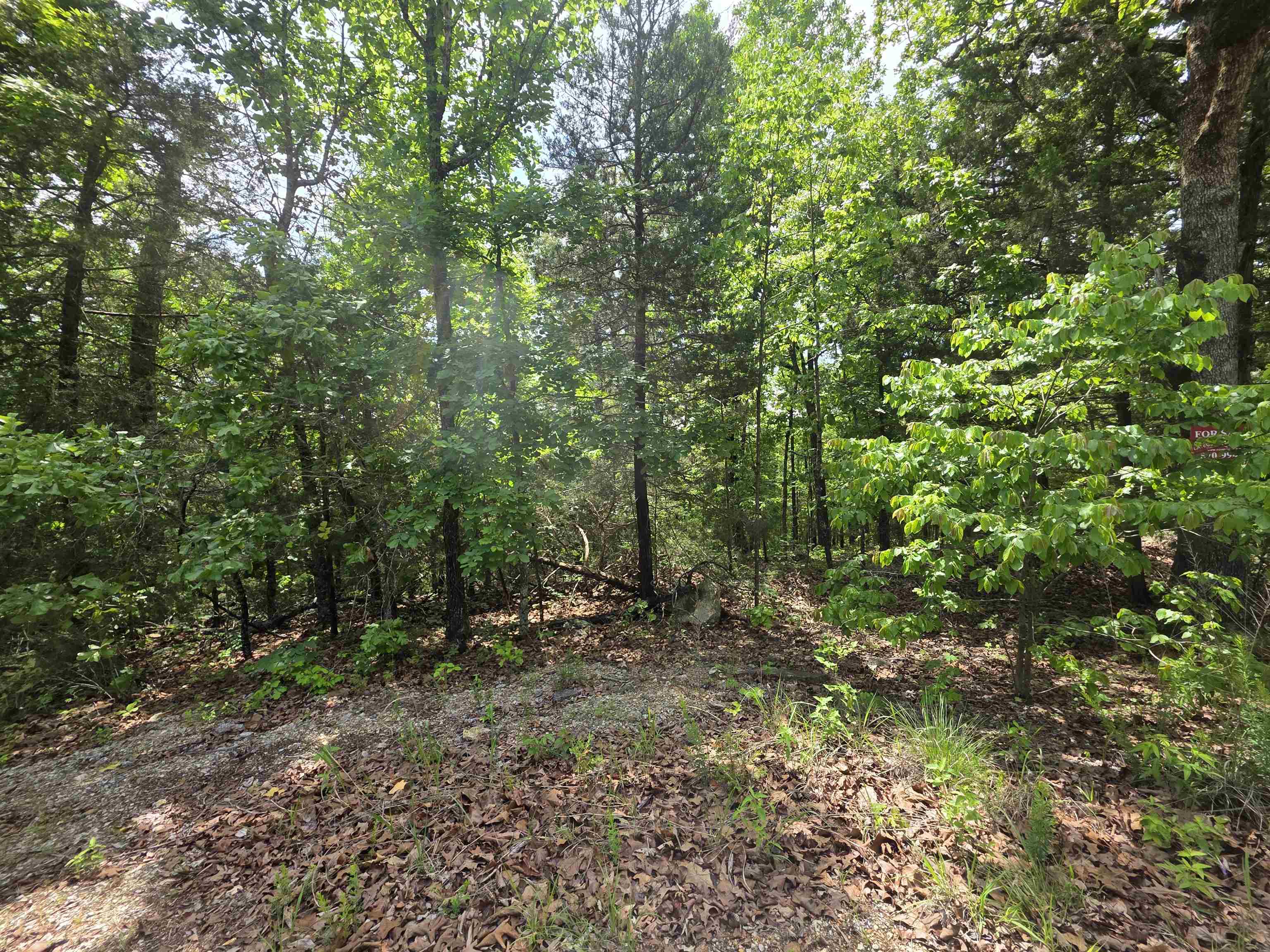 Photo 16 - Vacant Land for sale – L-39, B-4  Topez   Cherokee Village, AR