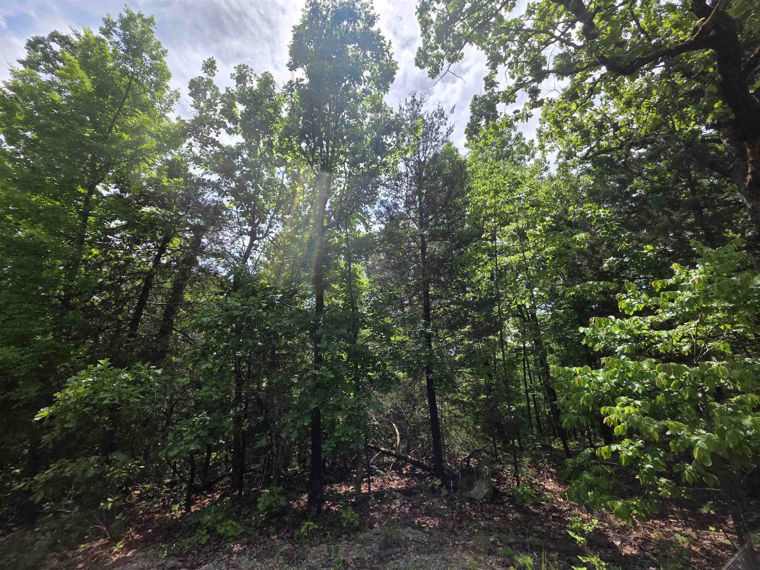 Photo 17 - Vacant Land for sale – L-39, B-4  Topez   Cherokee Village, AR