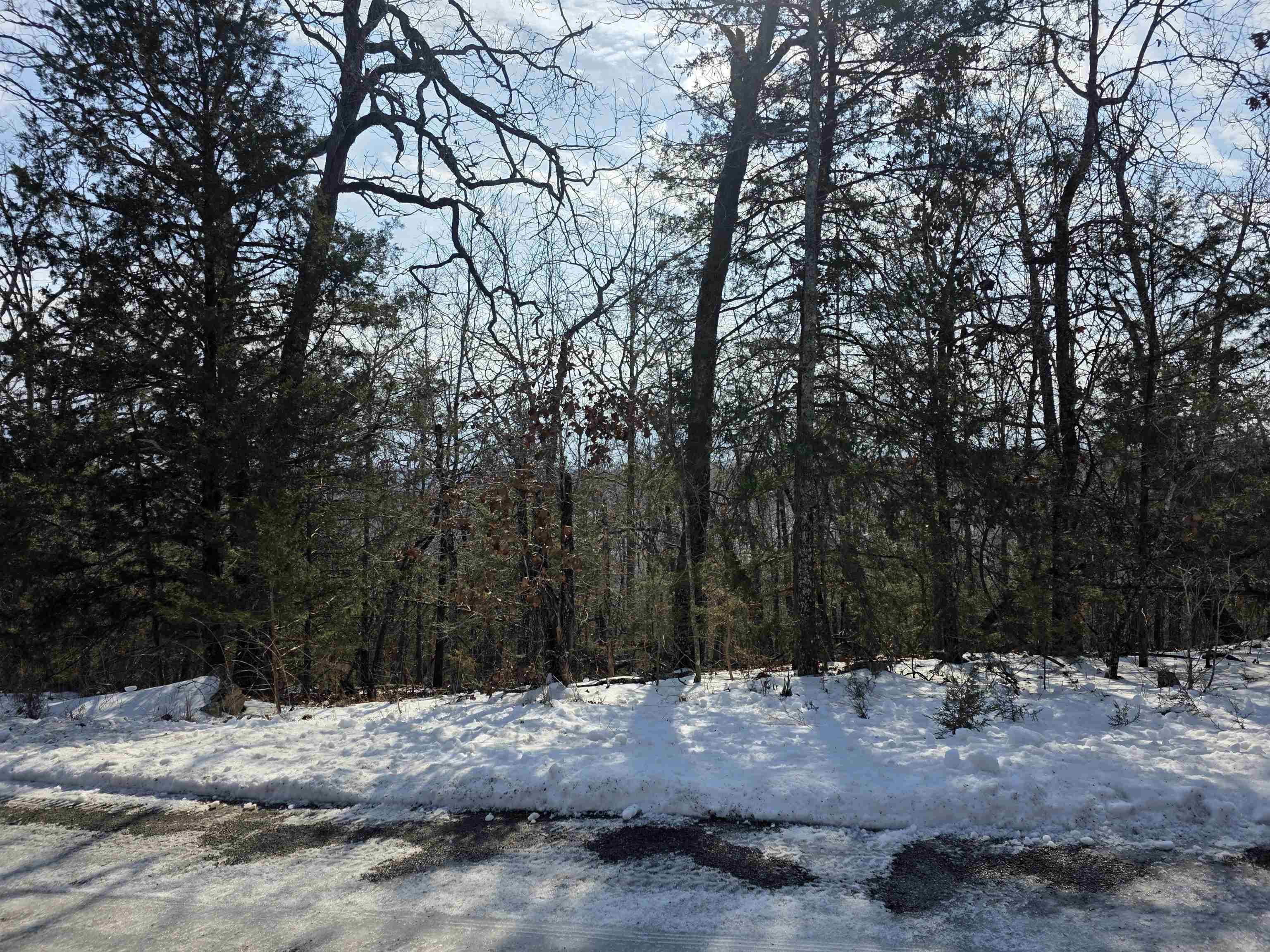 Photo 17 - Vacant Land for sale – L-39, B-4  Topez   Cherokee Village, AR