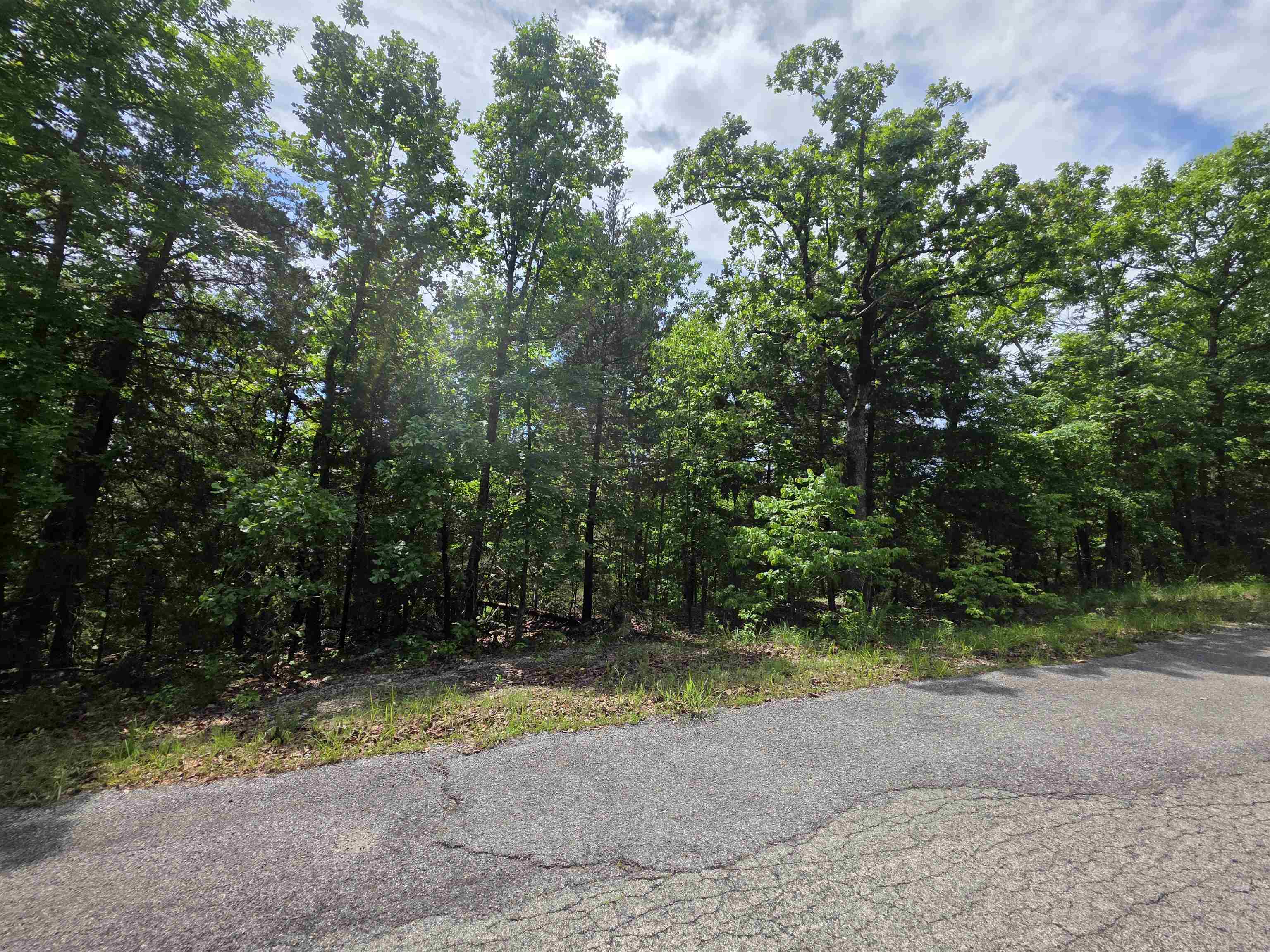Photo 18 - Vacant Land for sale – L-39, B-4  Topez   Cherokee Village, AR