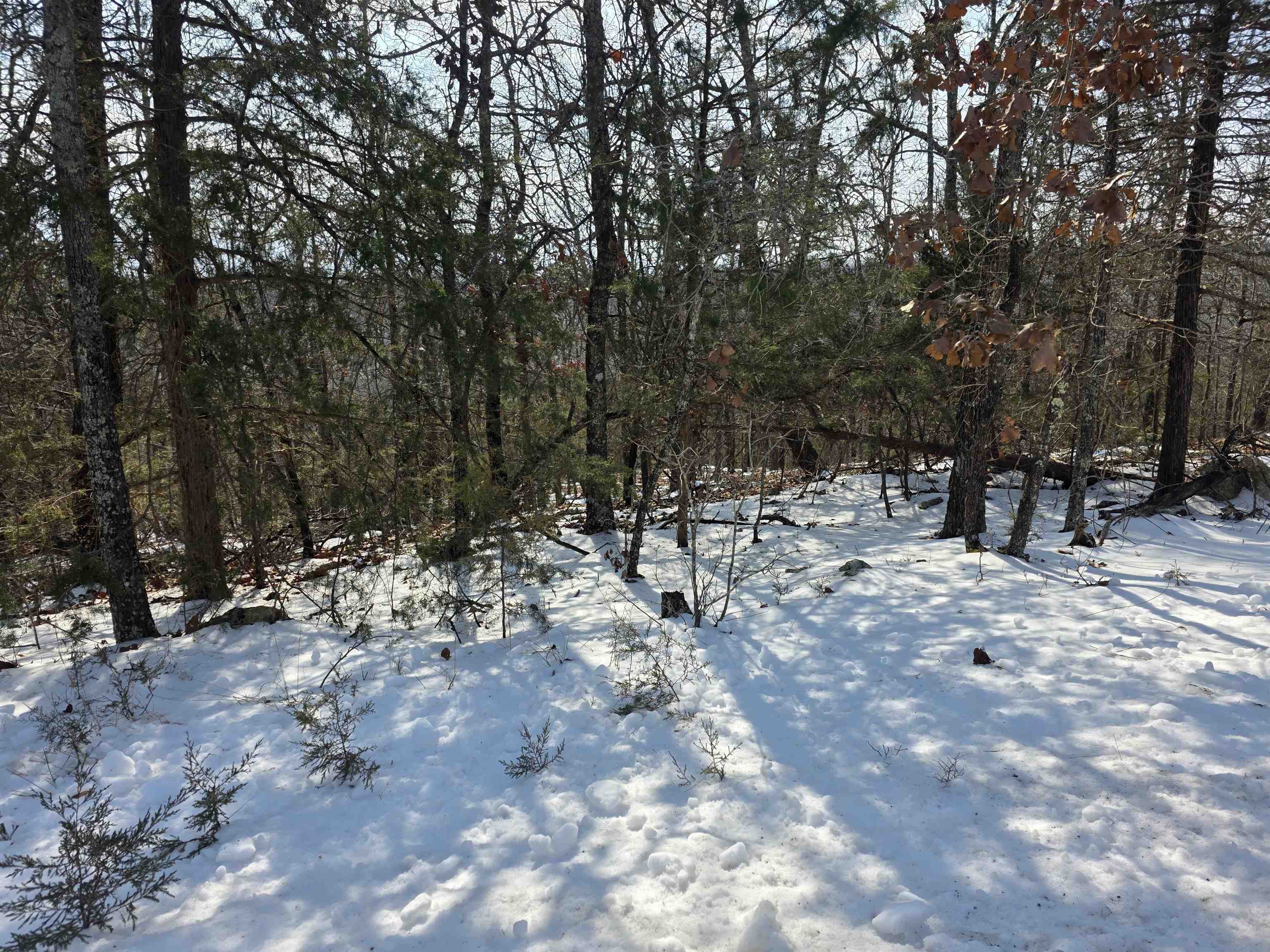 Photo 18 - Vacant Land for sale – L-39, B-4  Topez   Cherokee Village, AR