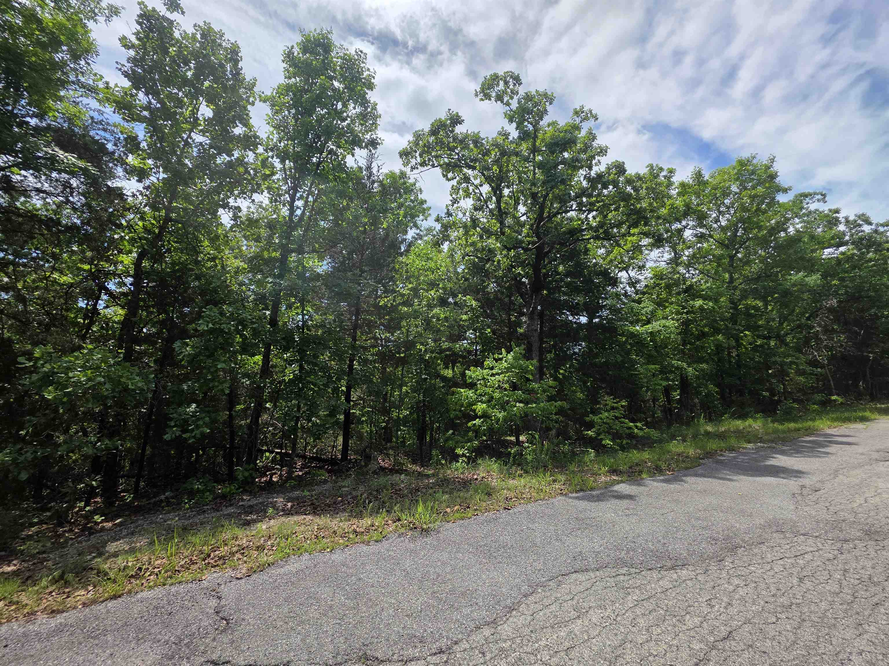 Photo 19 - Vacant Land for sale – L-39, B-4  Topez   Cherokee Village, AR