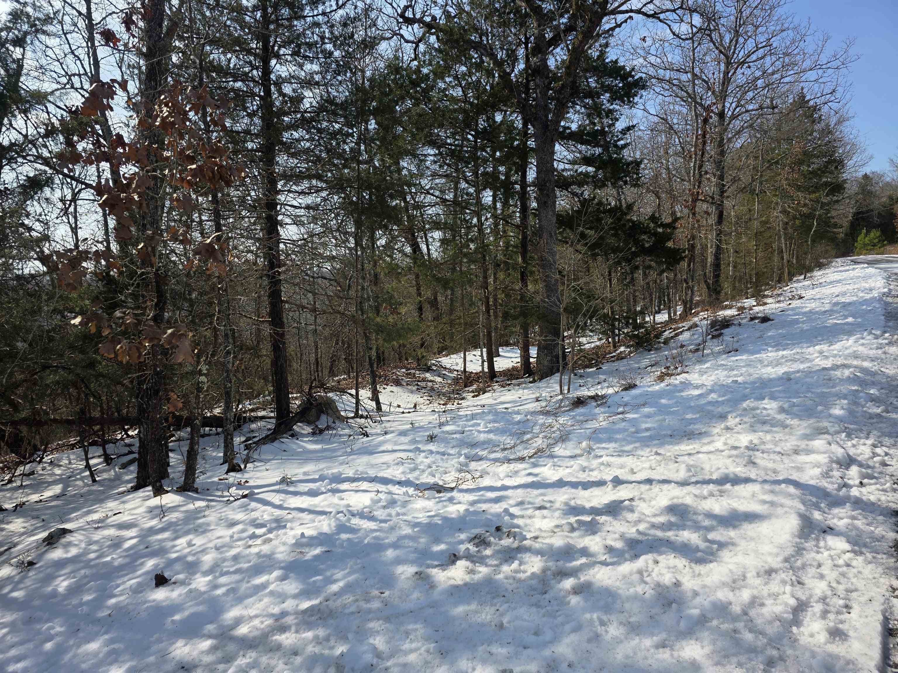 Photo 20 - Vacant Land for sale – L-39, B-4  Topez   Cherokee Village, AR