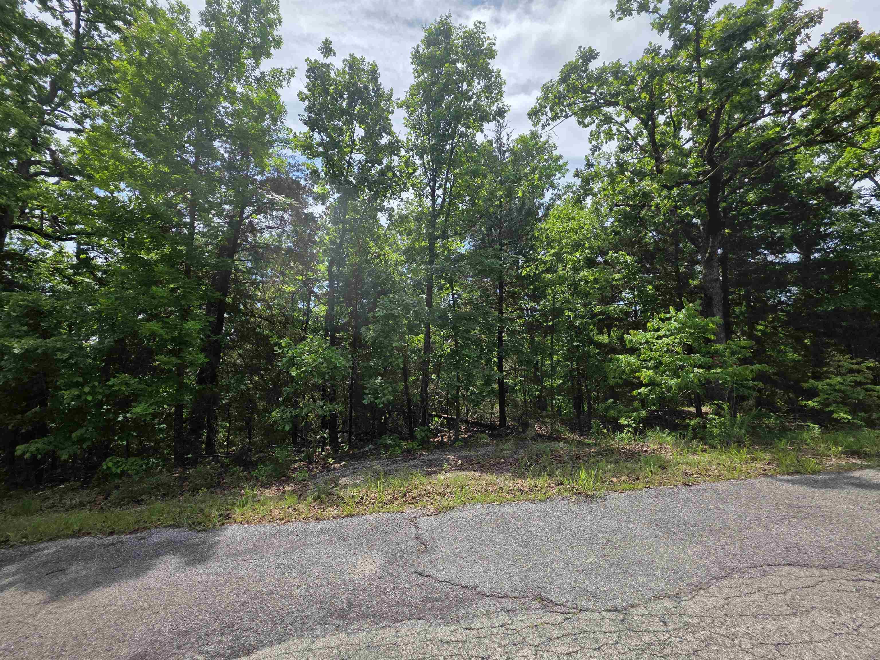 Photo 20 - Vacant Land for sale – L-39, B-4  Topez   Cherokee Village, AR