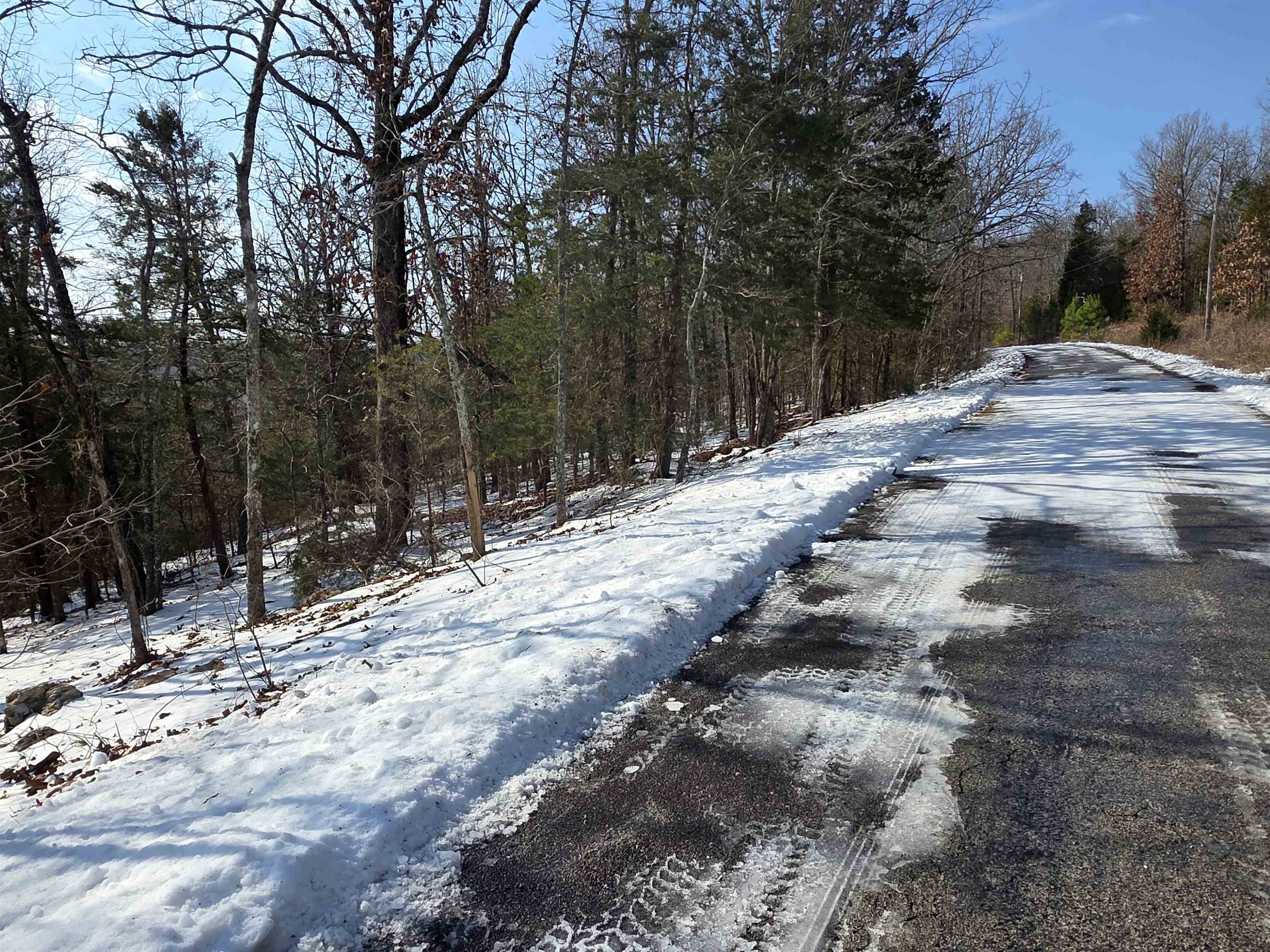 Photo 3 - Vacant Land for sale – L-39, B-4  Topez   Cherokee Village, AR