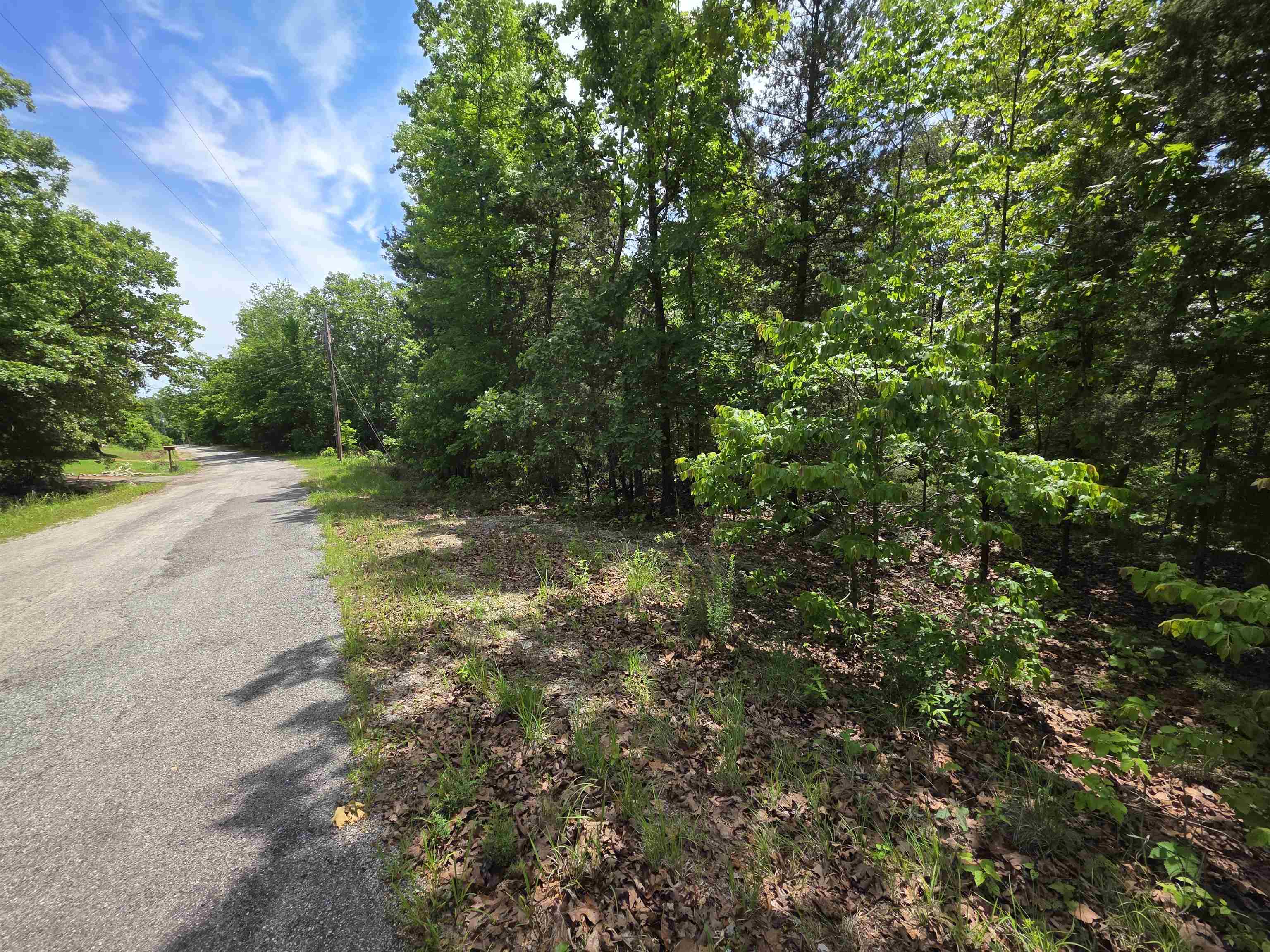 Photo 3 - Vacant Land for sale – L-39, B-4  Topez   Cherokee Village, AR