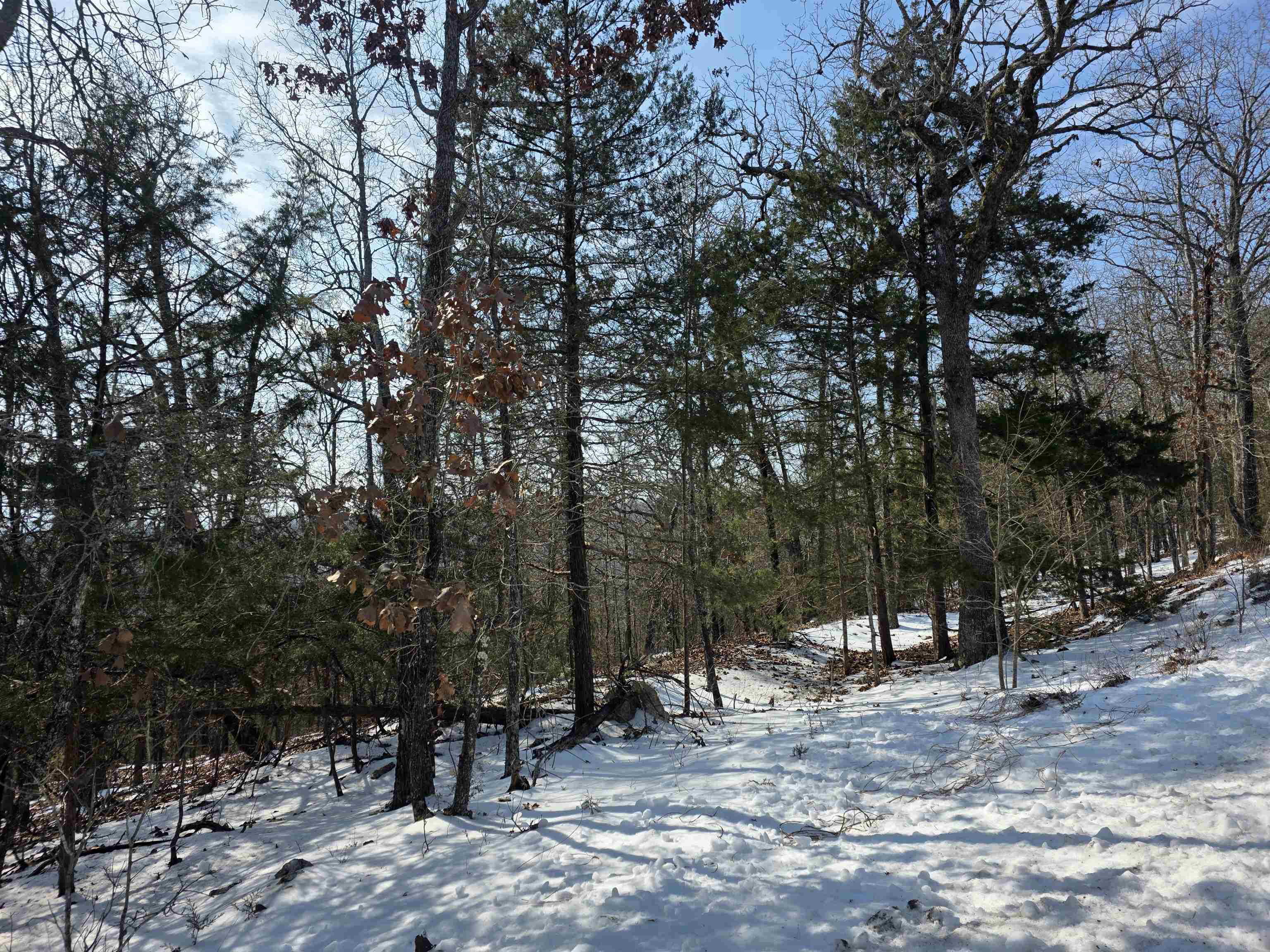 Photo 21 - Vacant Land for sale – L-39, B-4  Topez   Cherokee Village, AR