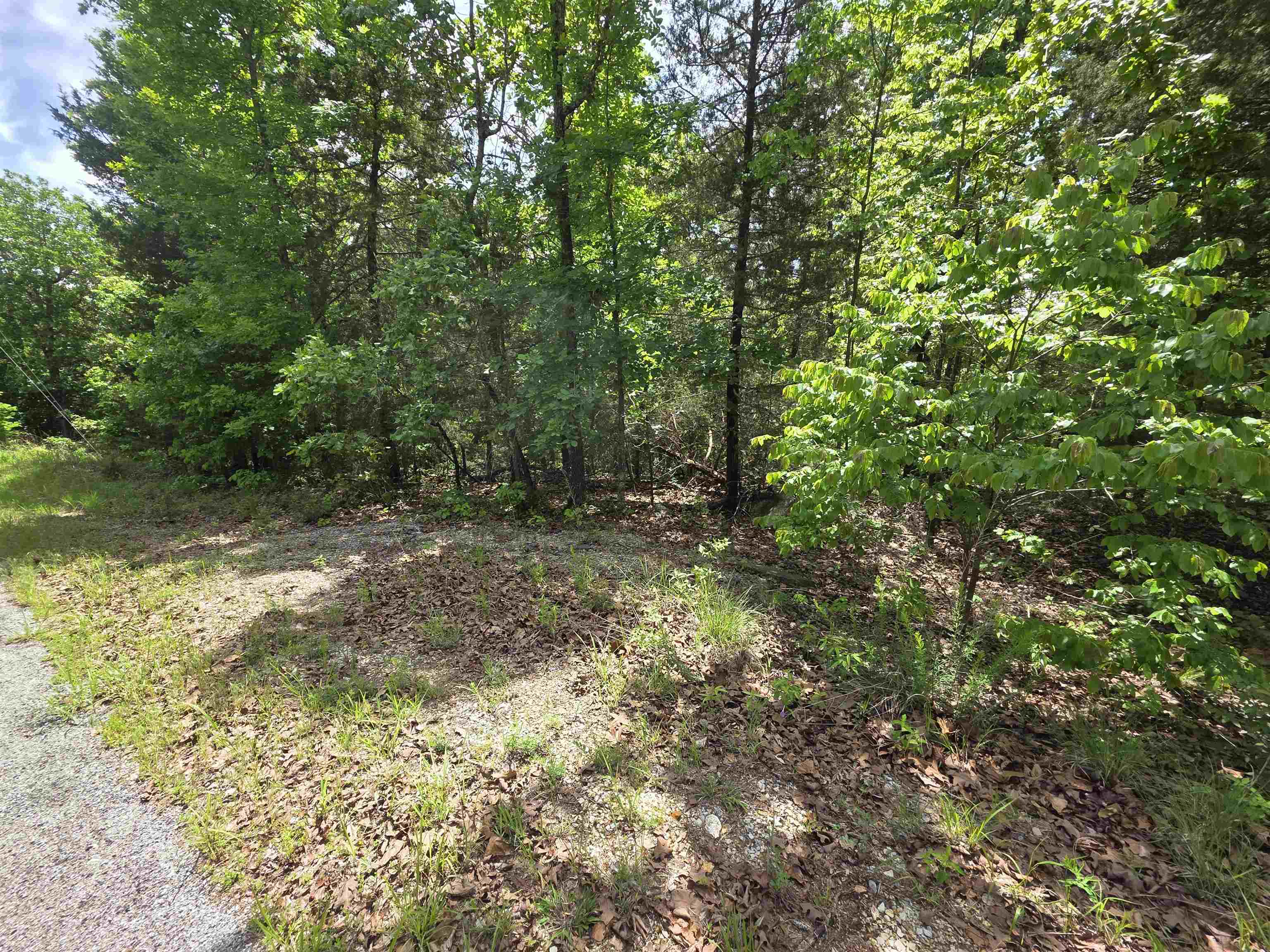 Photo 4 - Vacant Land for sale – L-39, B-4  Topez   Cherokee Village, AR