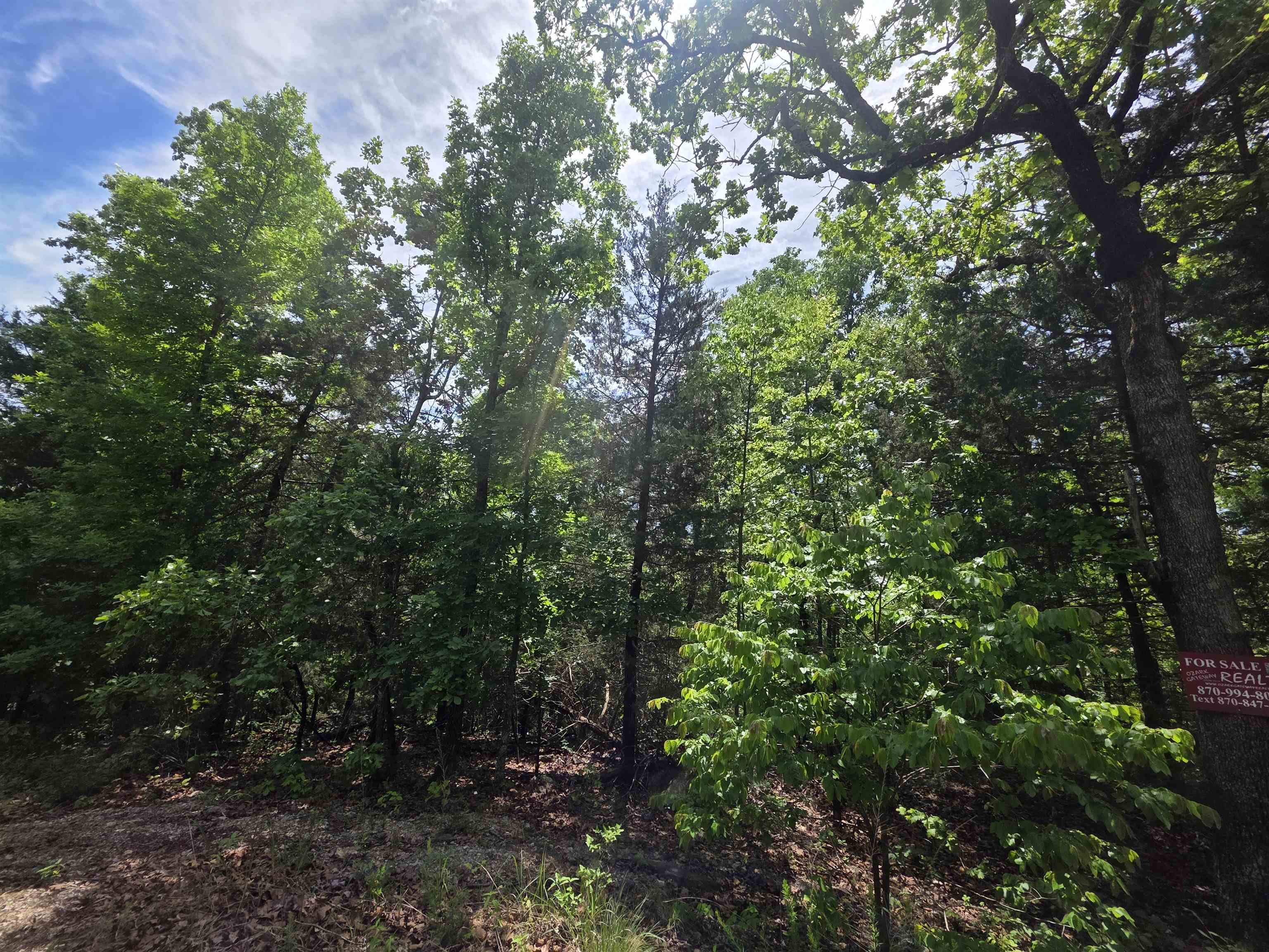 Photo 5 - Vacant Land for sale – L-39, B-4  Topez   Cherokee Village, AR