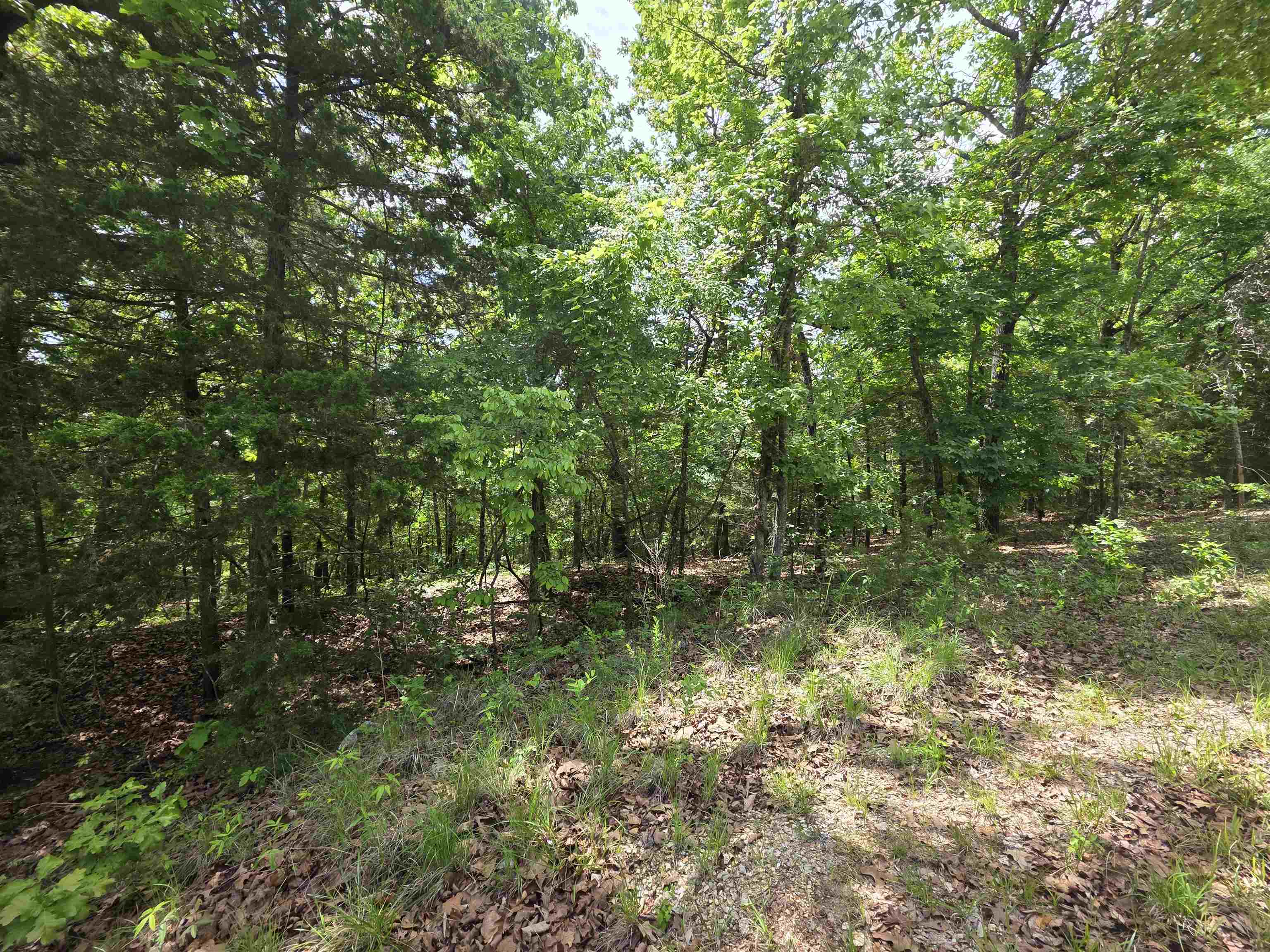 Photo 6 - Vacant Land for sale – L-39, B-4  Topez   Cherokee Village, AR